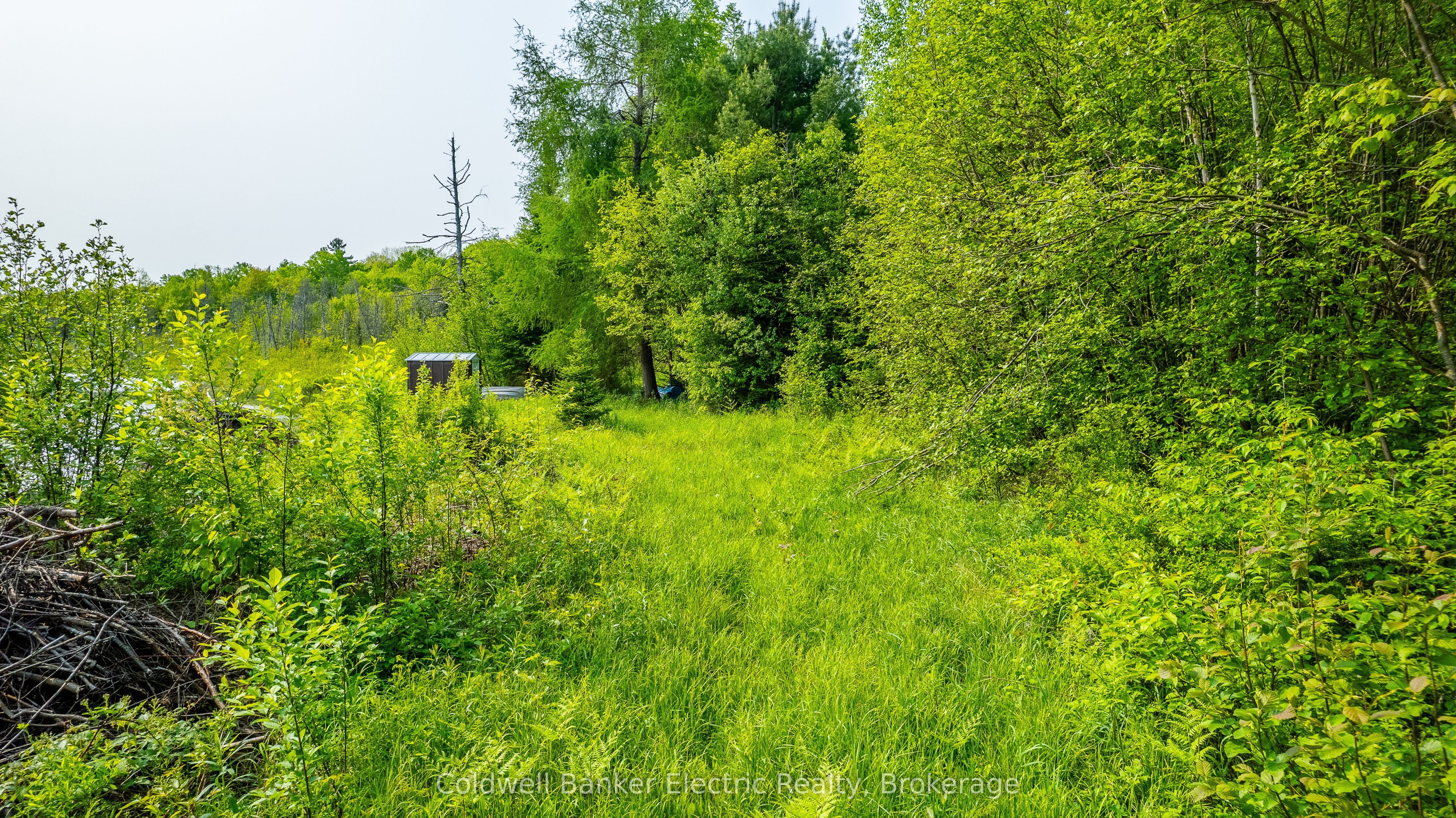 Listing 237782 Image