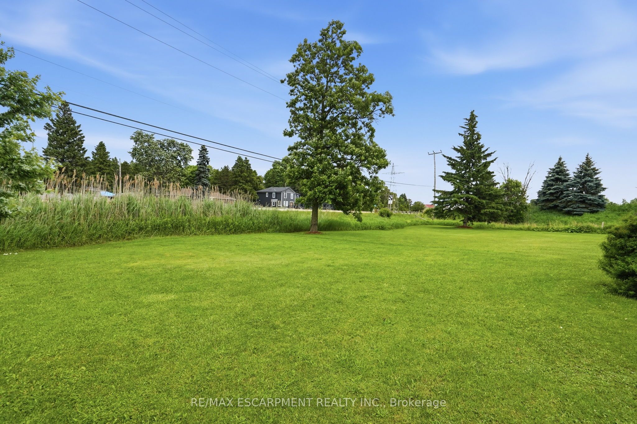 Listing 237509 Image