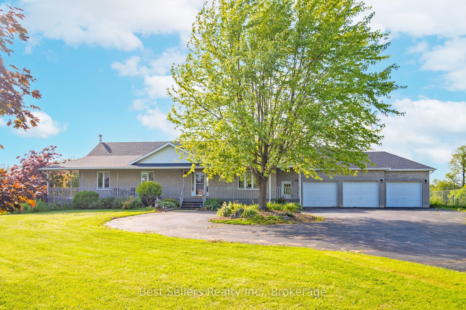 Listing 245359 Image