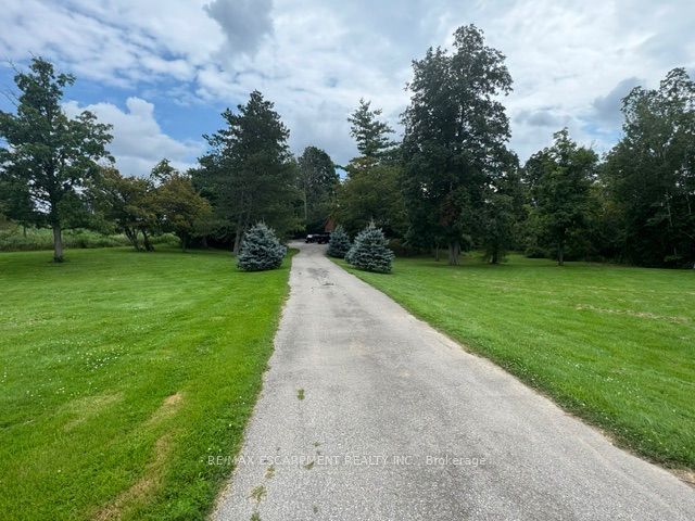 Listing 239820 Image