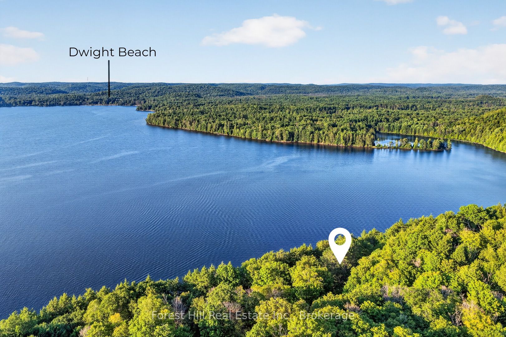 Listing 238080 Image