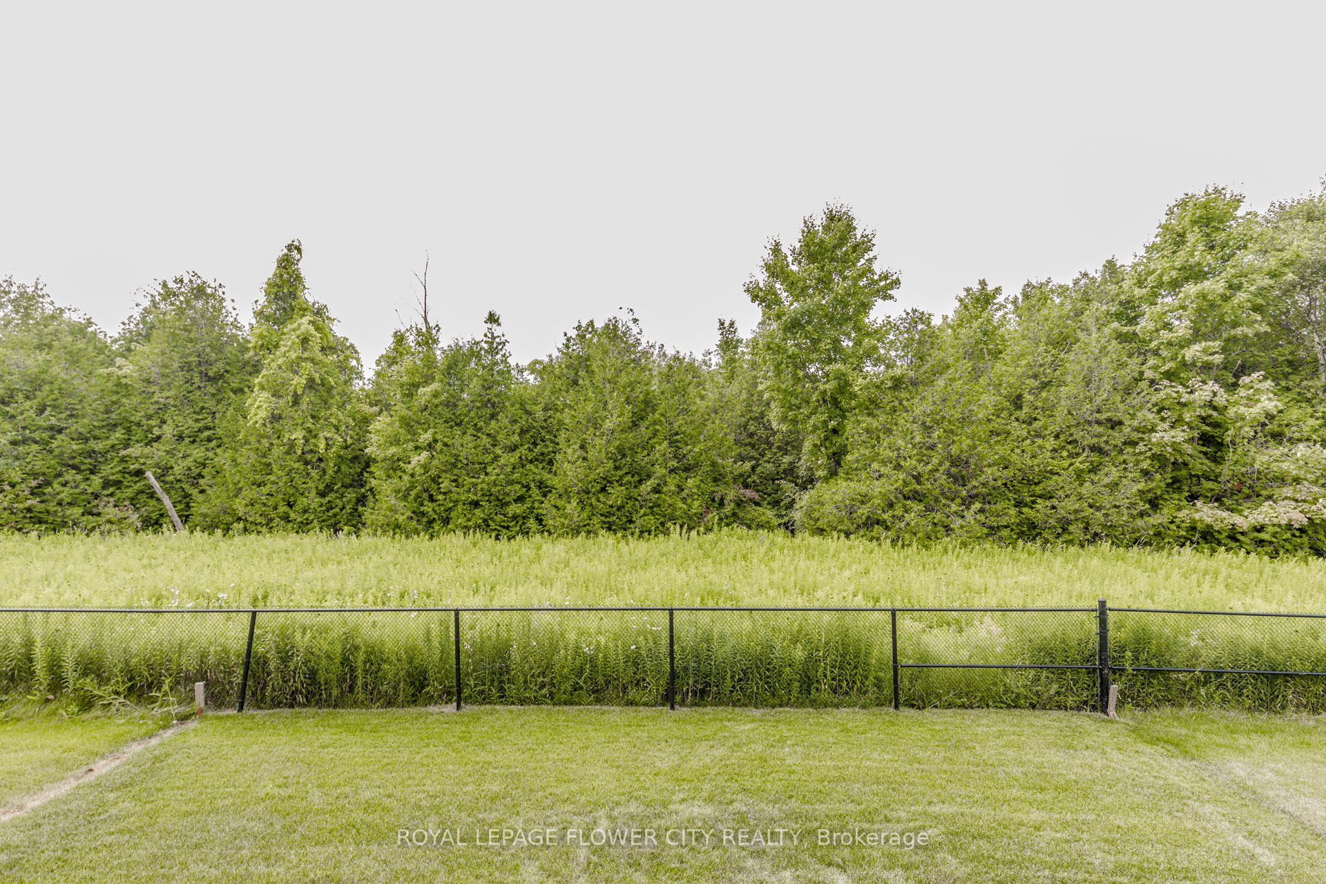 Listing 238312 Image