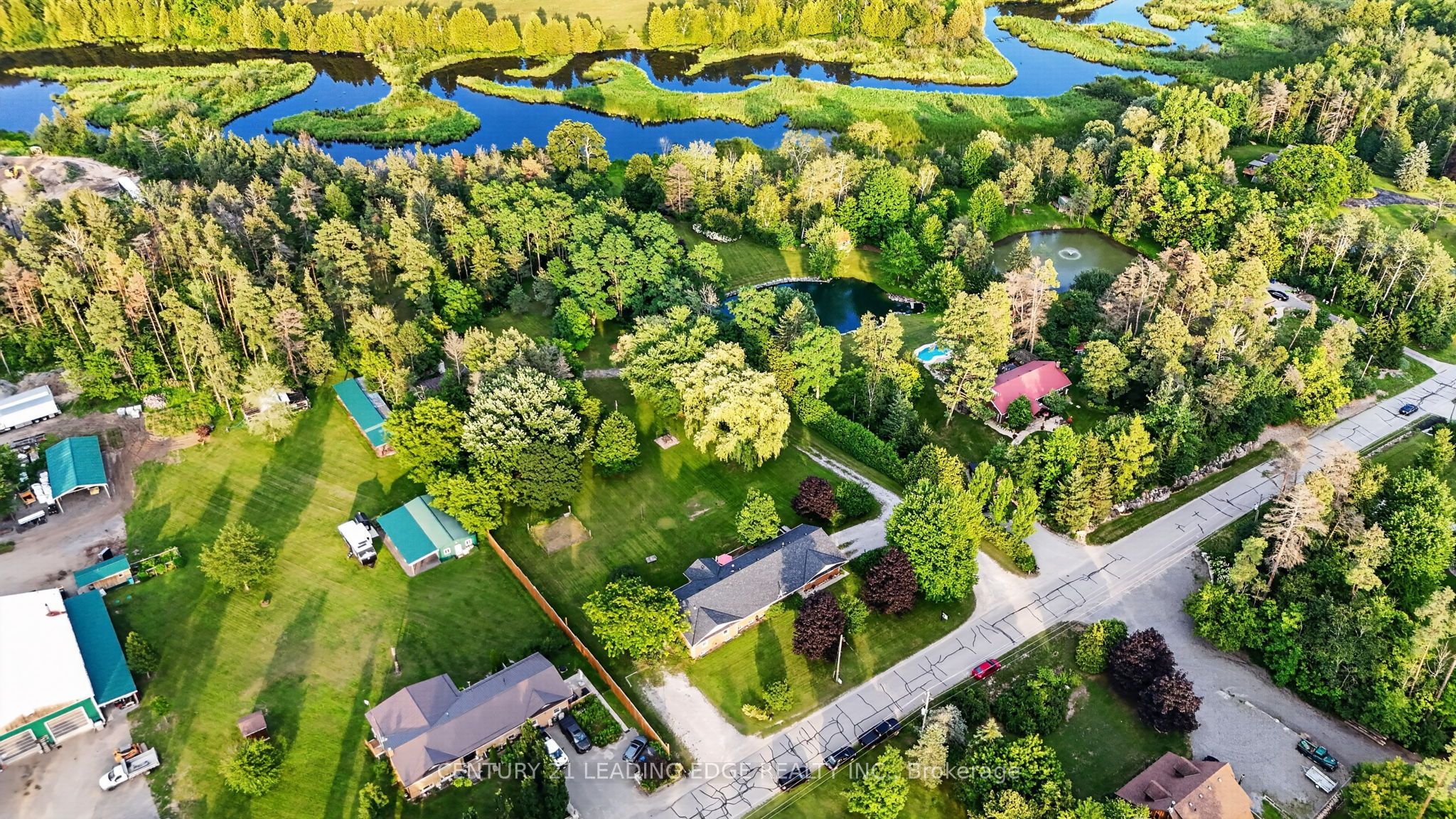 Listing 244851 Image