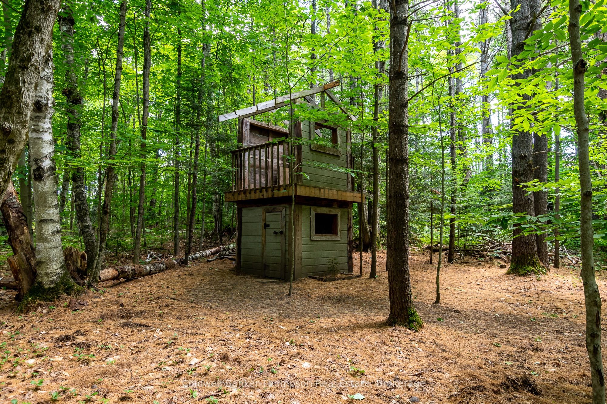 Main Property