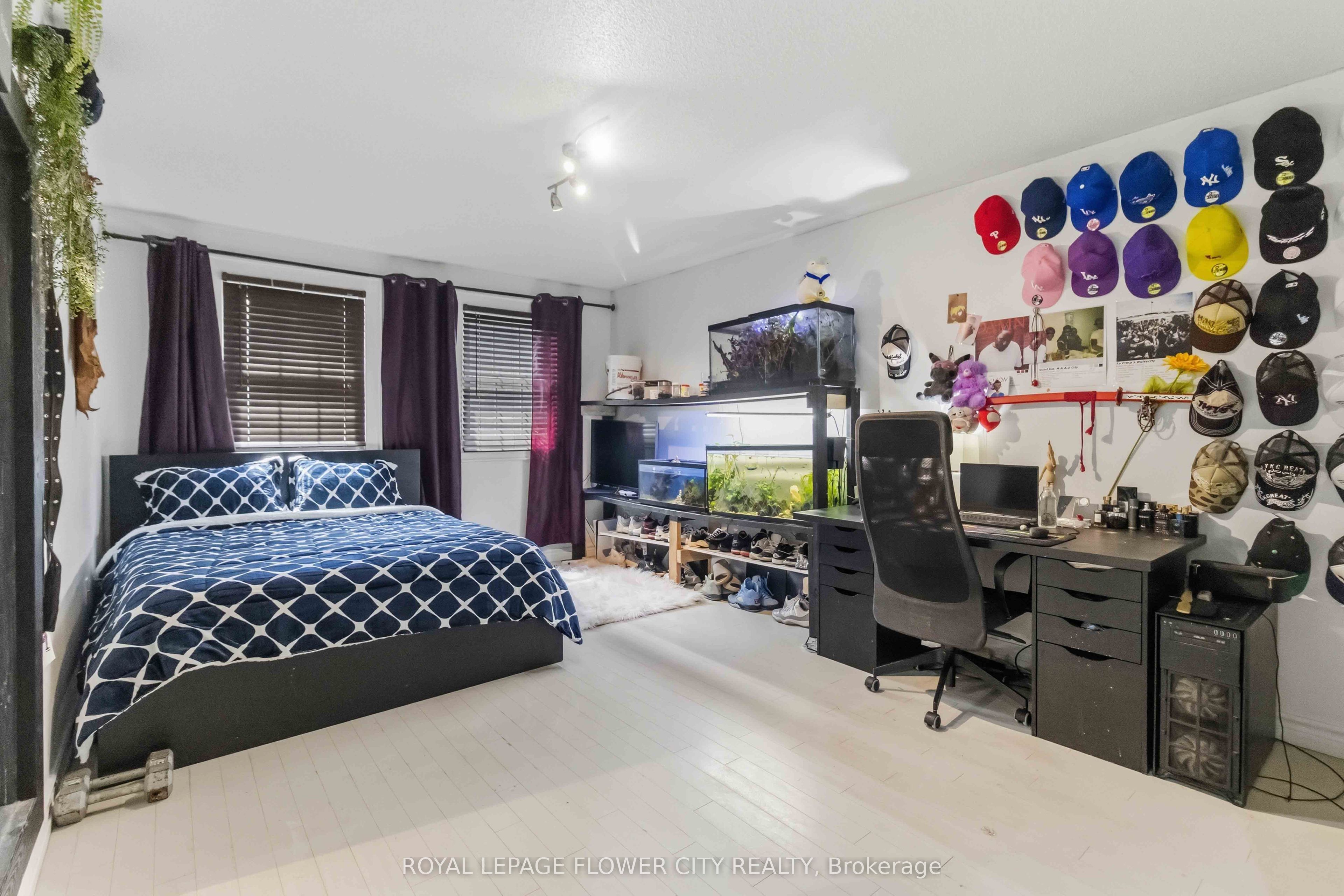 Main Property