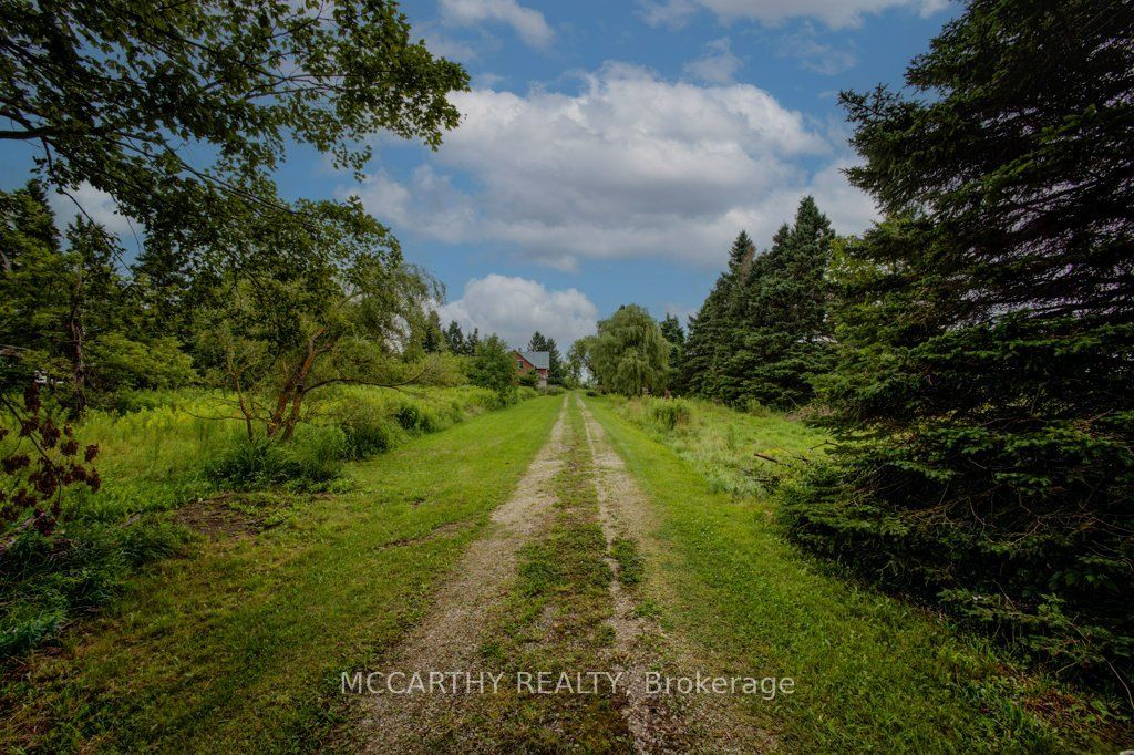 Listing 240642 Image
