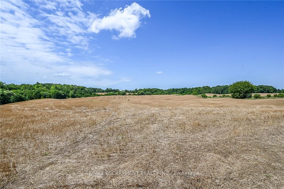 Listing 239563 Image