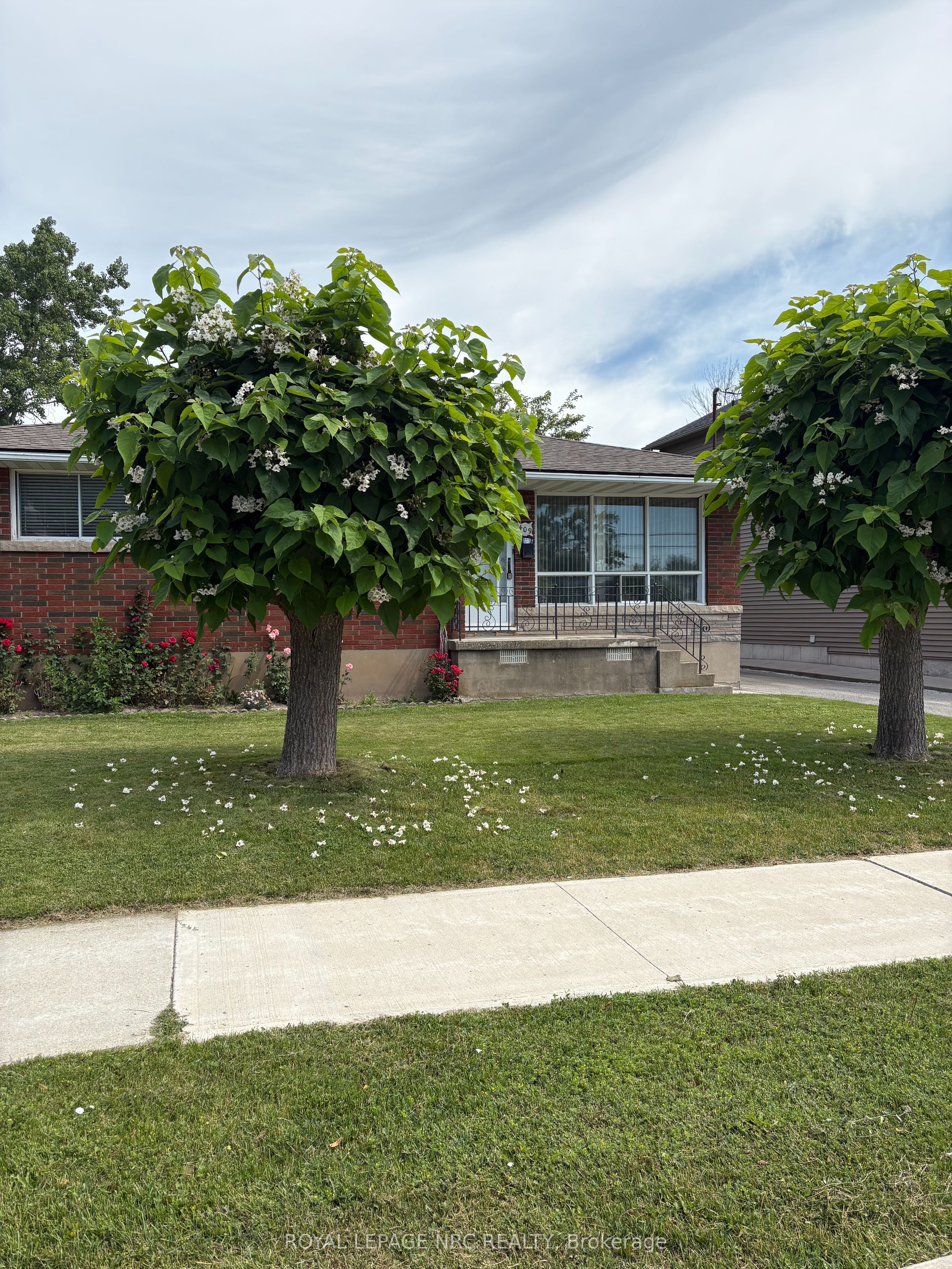 Listing 239903 Image