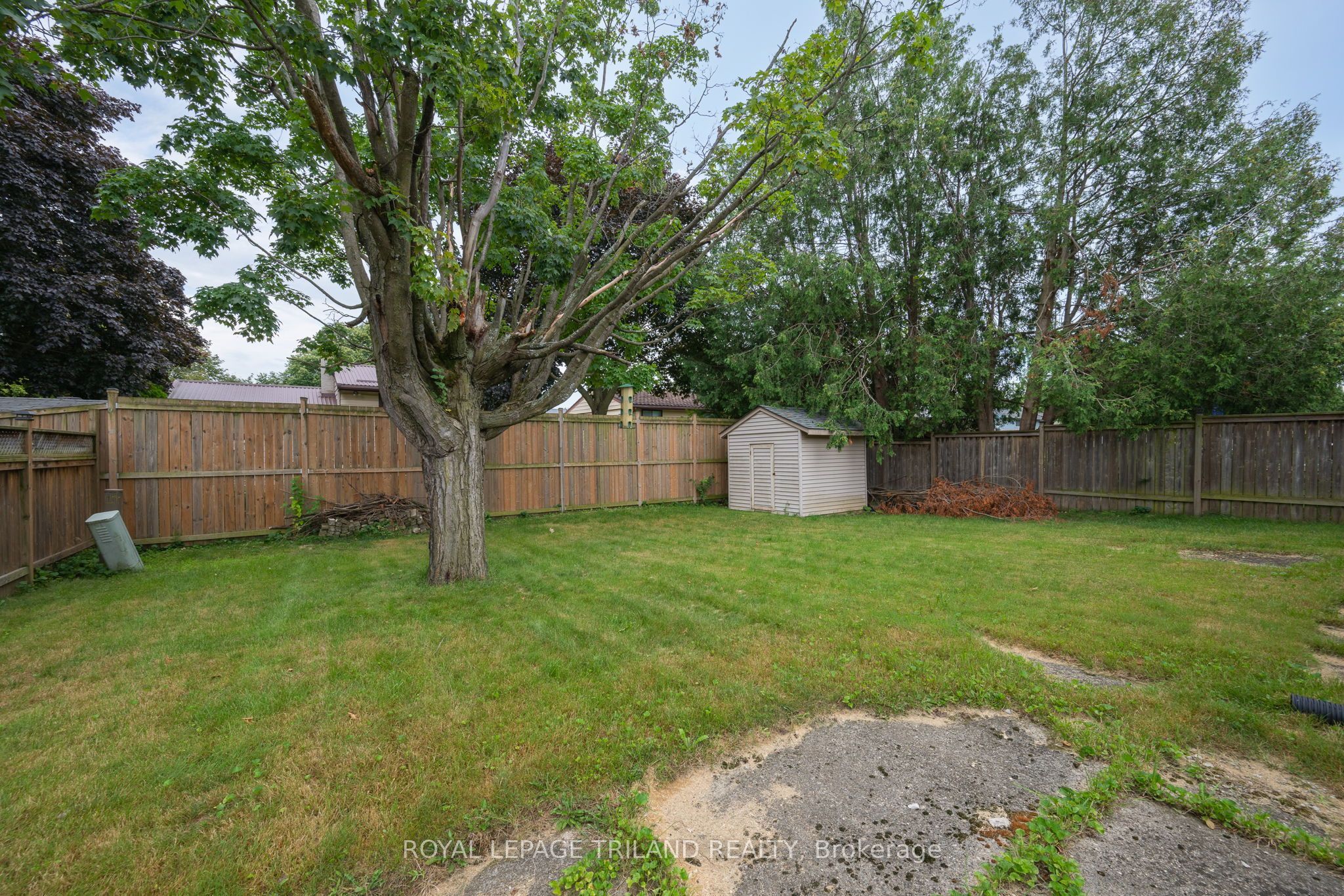 Main Property