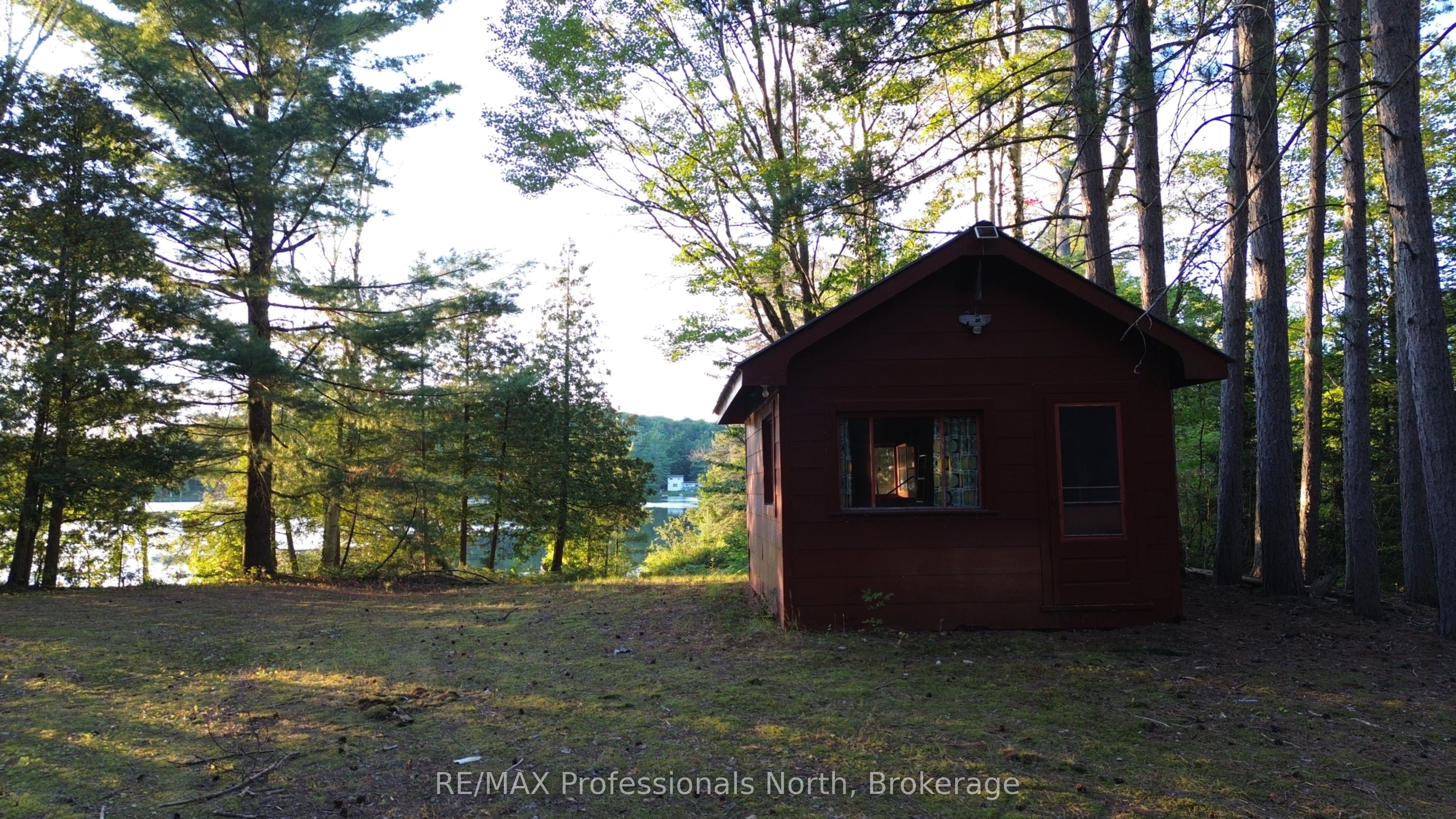 Main Property