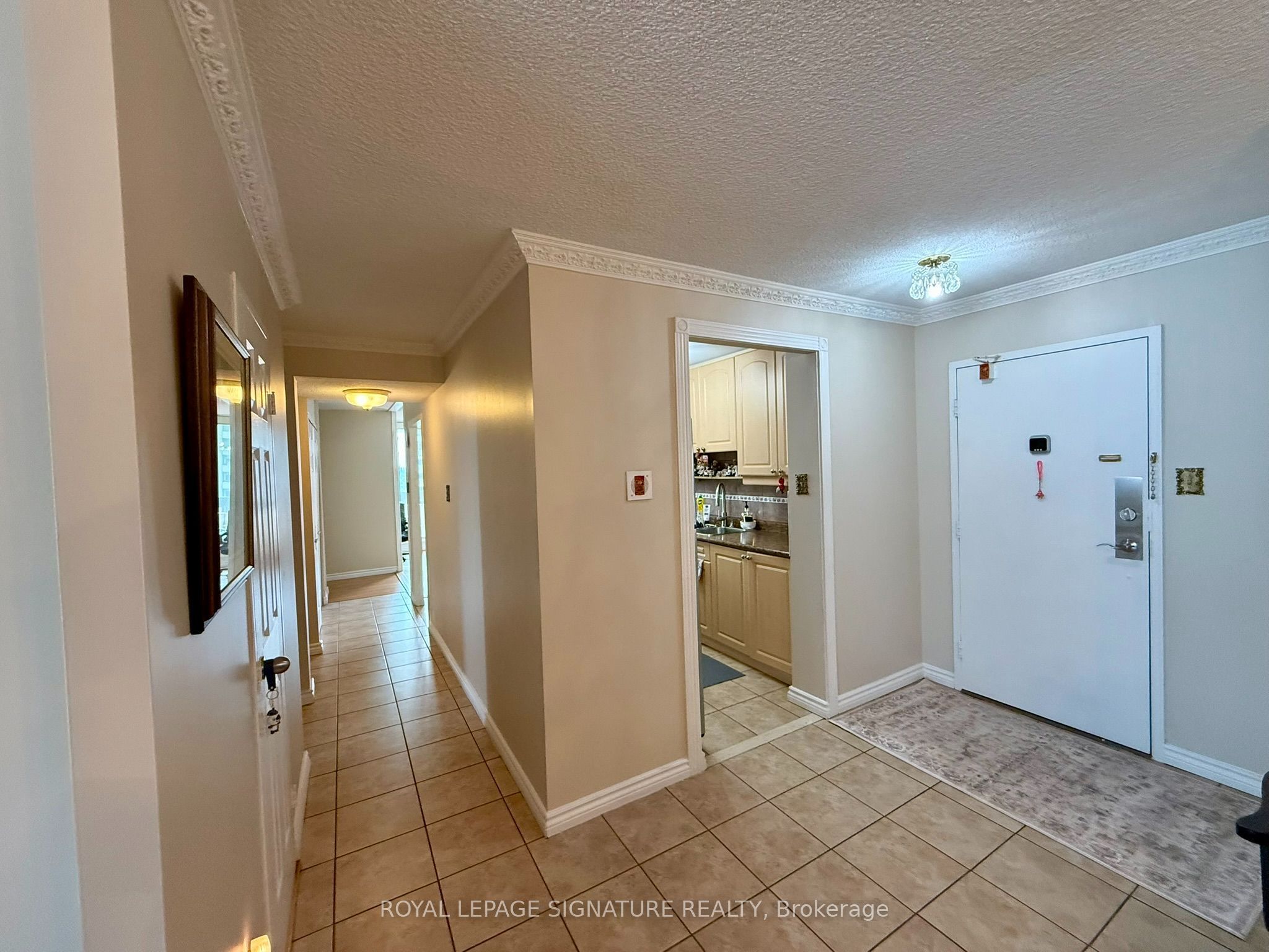 Listing 244011 Image