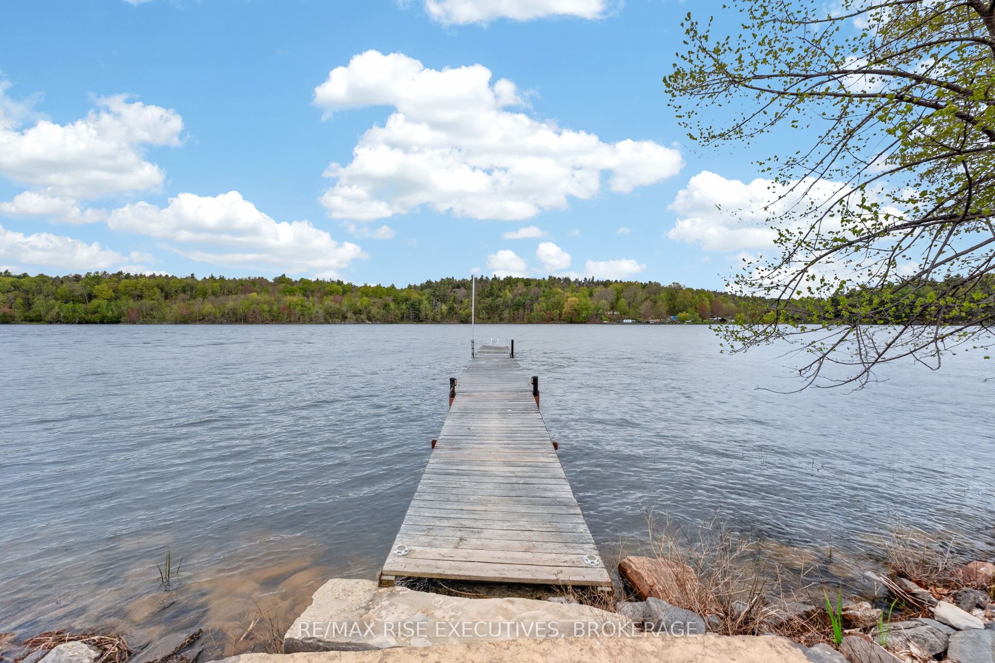 Listing 244519 Image