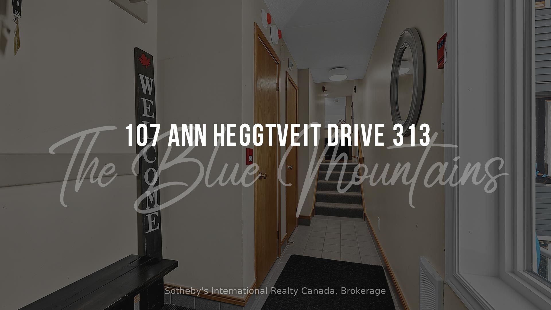 Listing 264681 Image