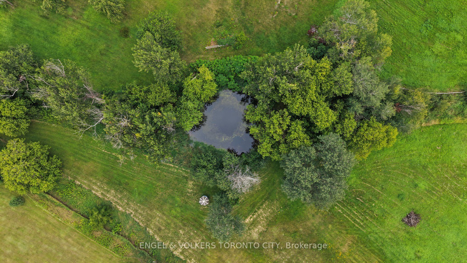 Listing 245841 Image