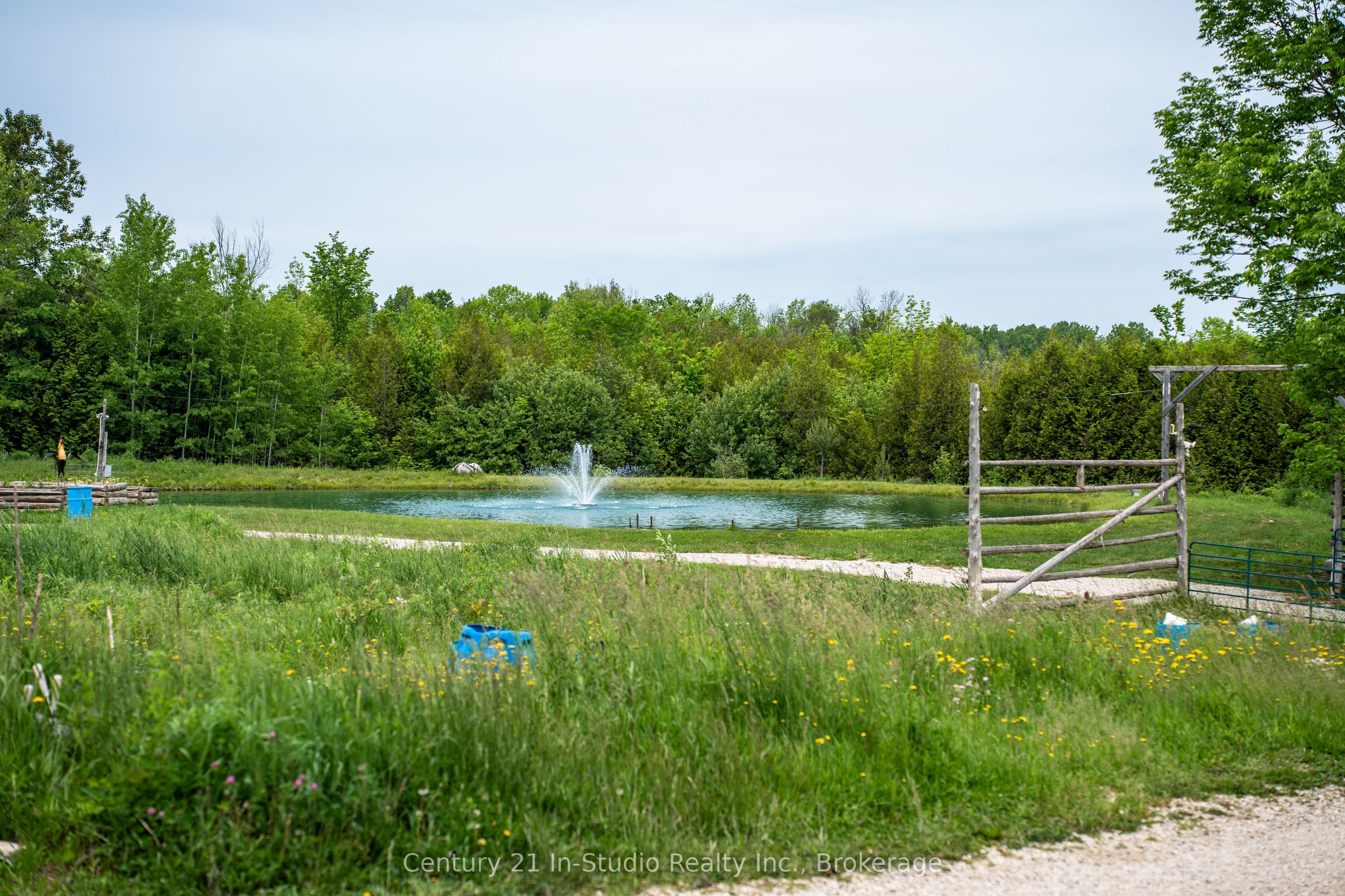 Listing 246846 Image