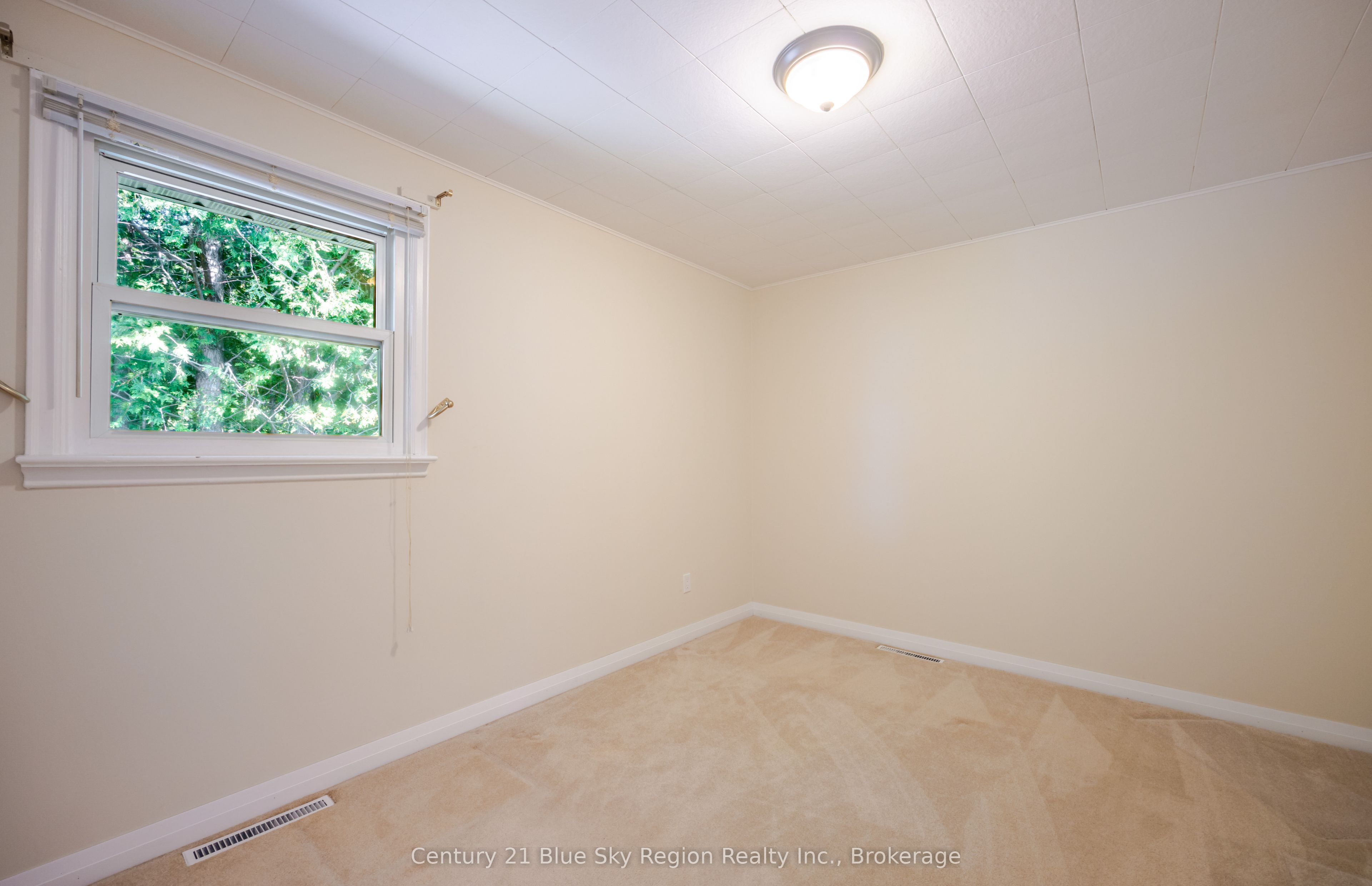 Listing 246895 Image