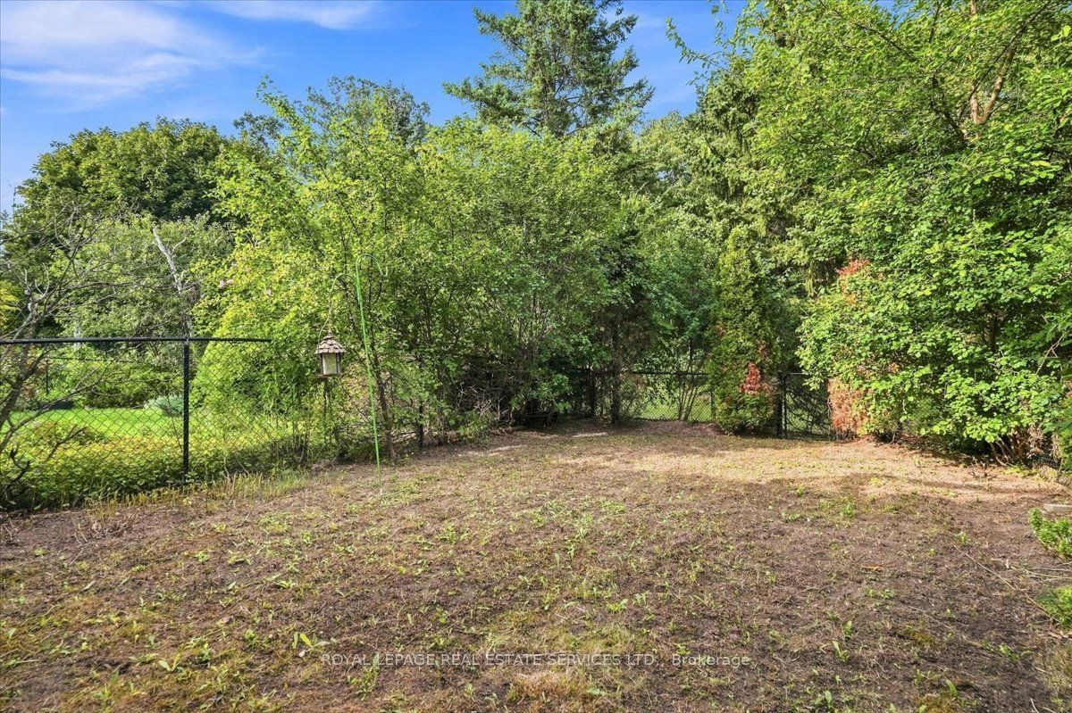 Listing 261561 Image
