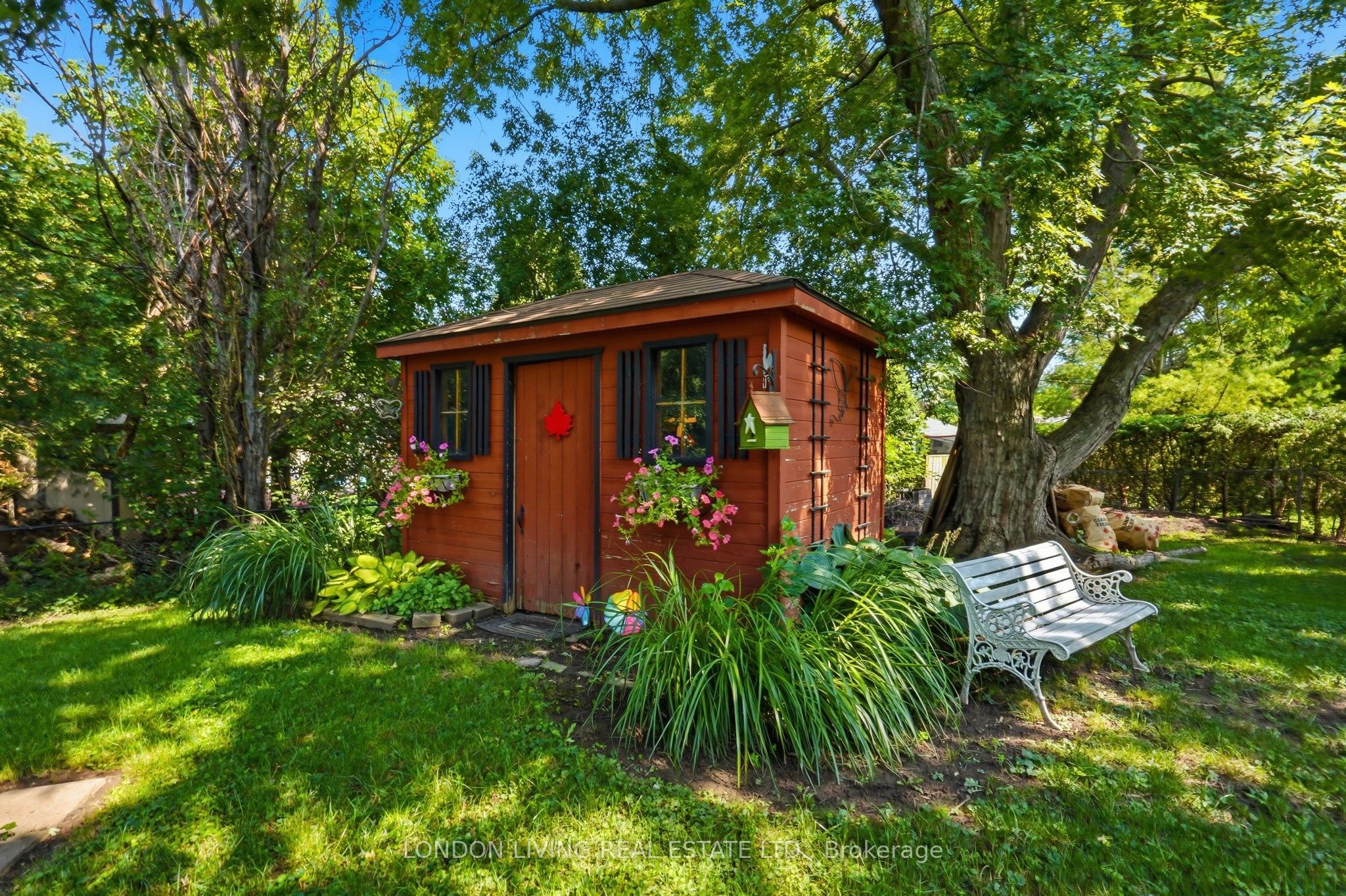 Listing 246556 Image