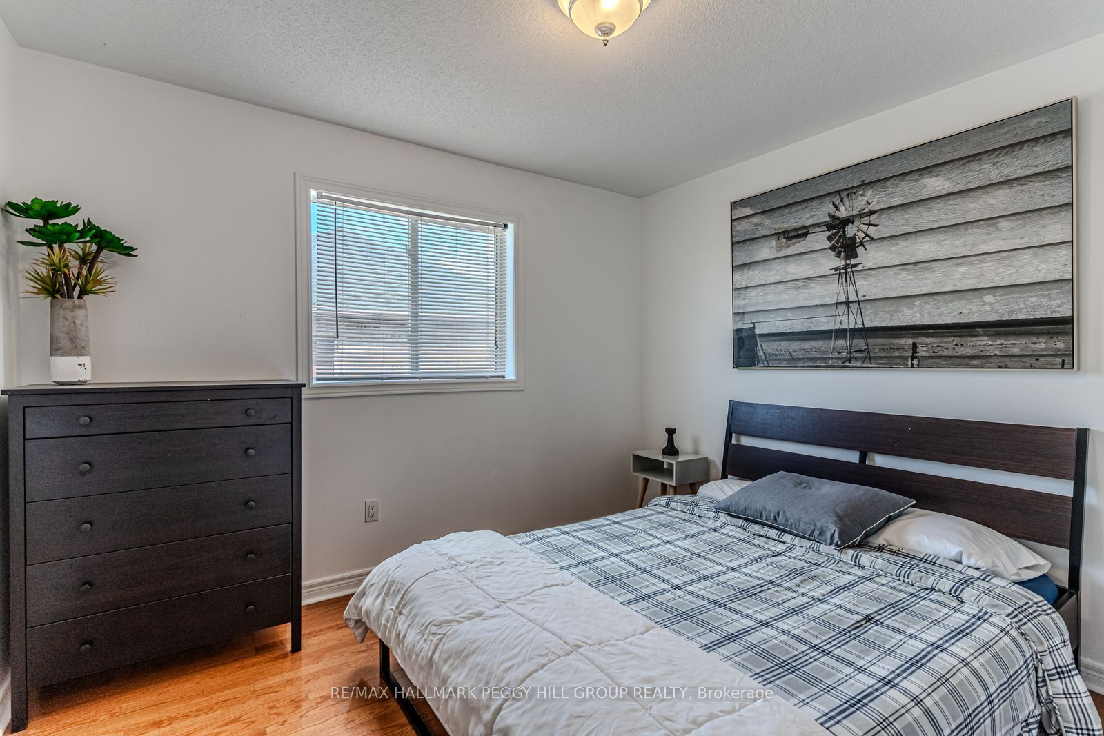 Listing 246857 Image