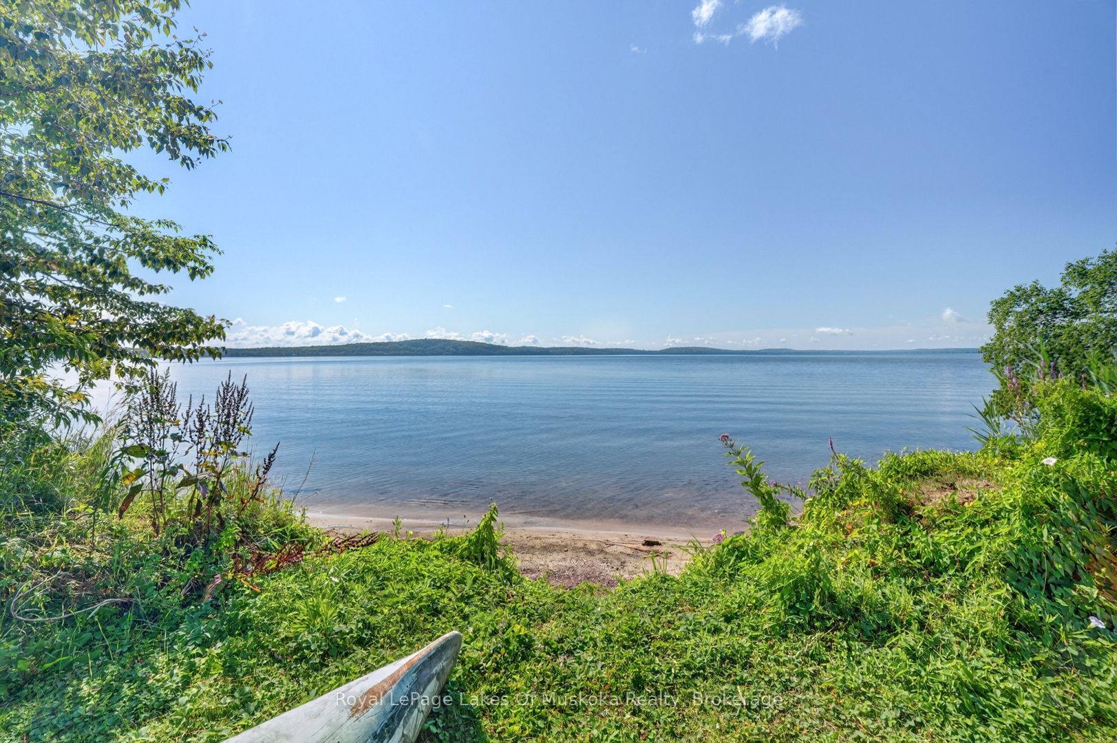 Main Property