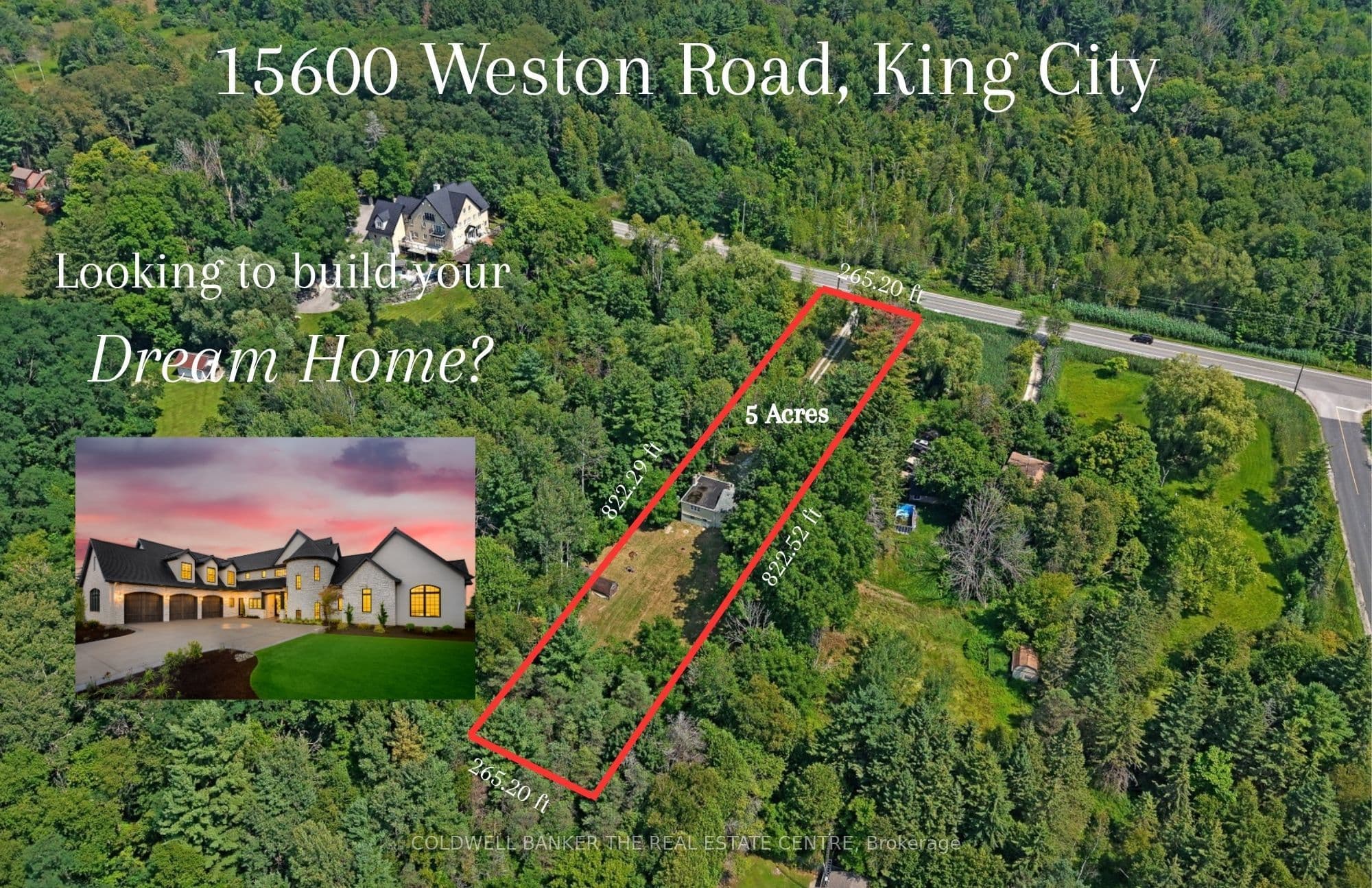 Main Property