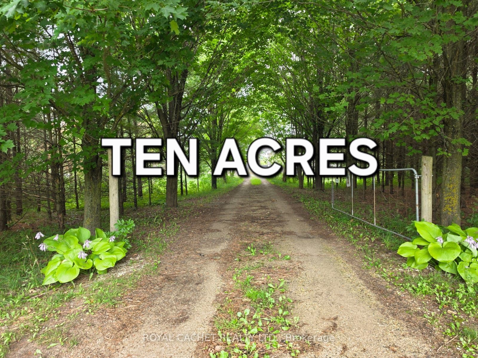 Main Property