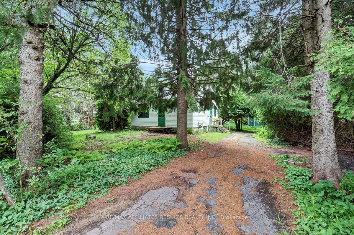 Listing 272596 Image