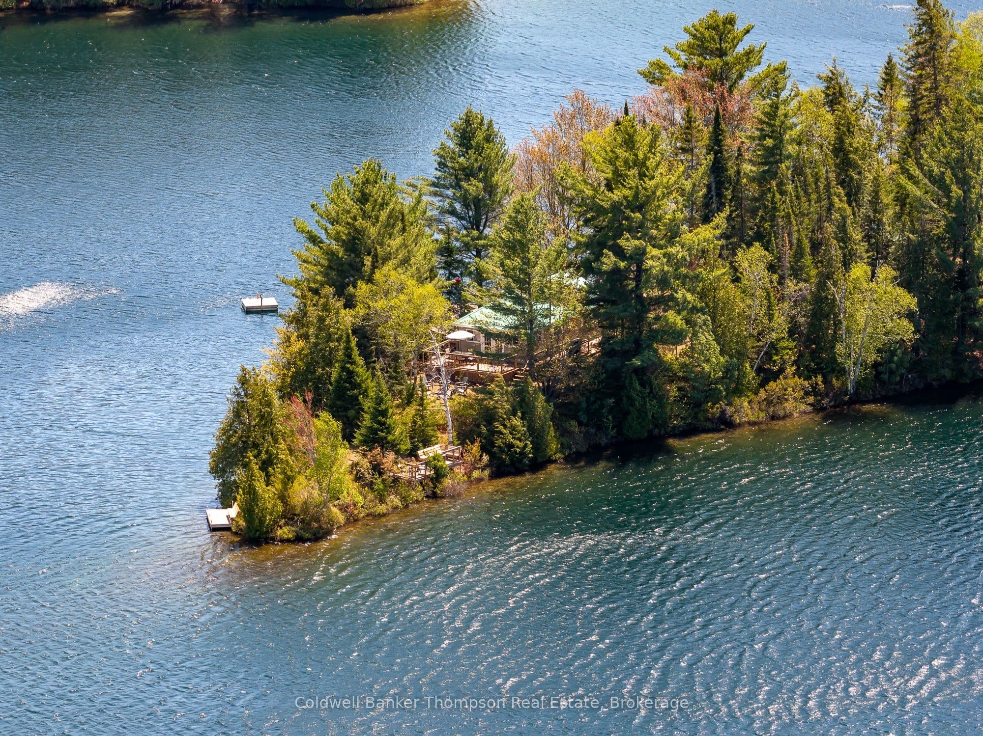 Main Property