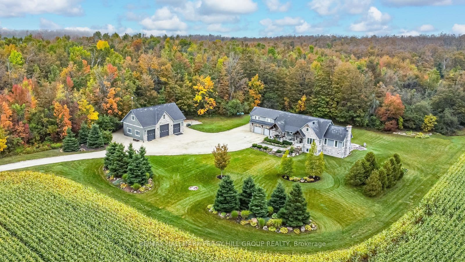 Main Property