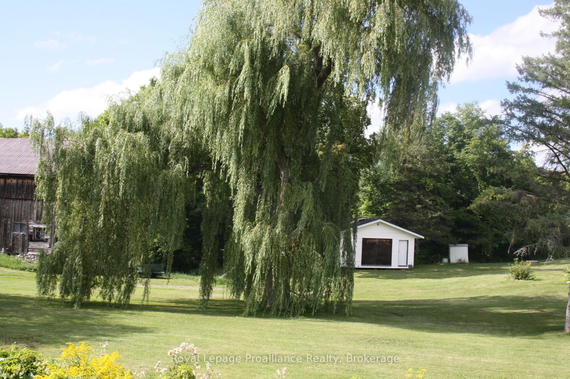 Main Property