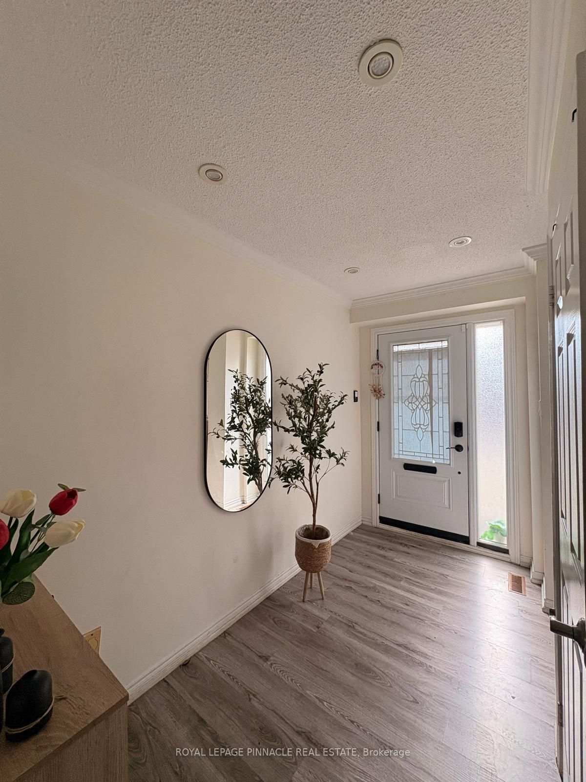 Listing 259444 Image