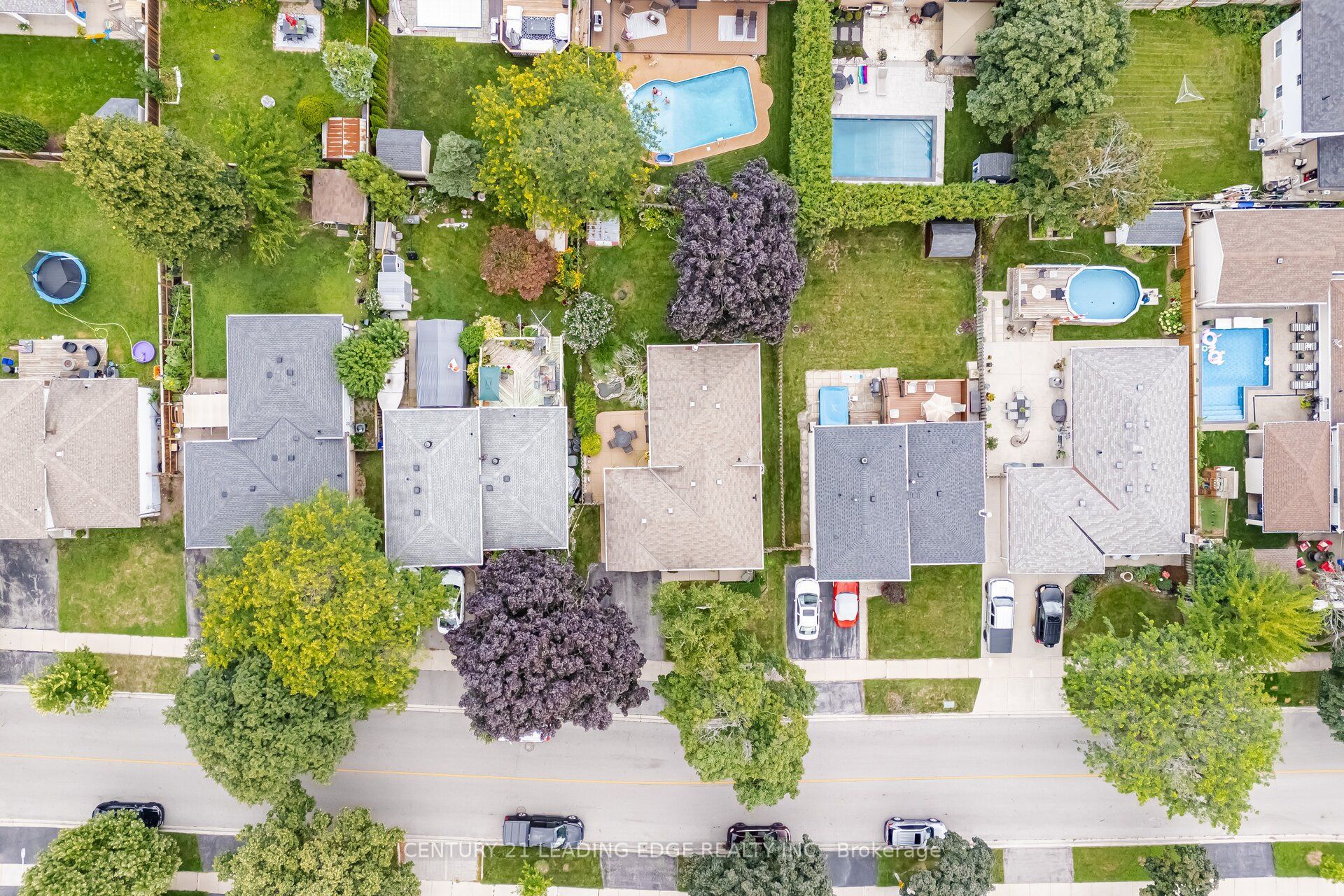 Listing 255756 Image