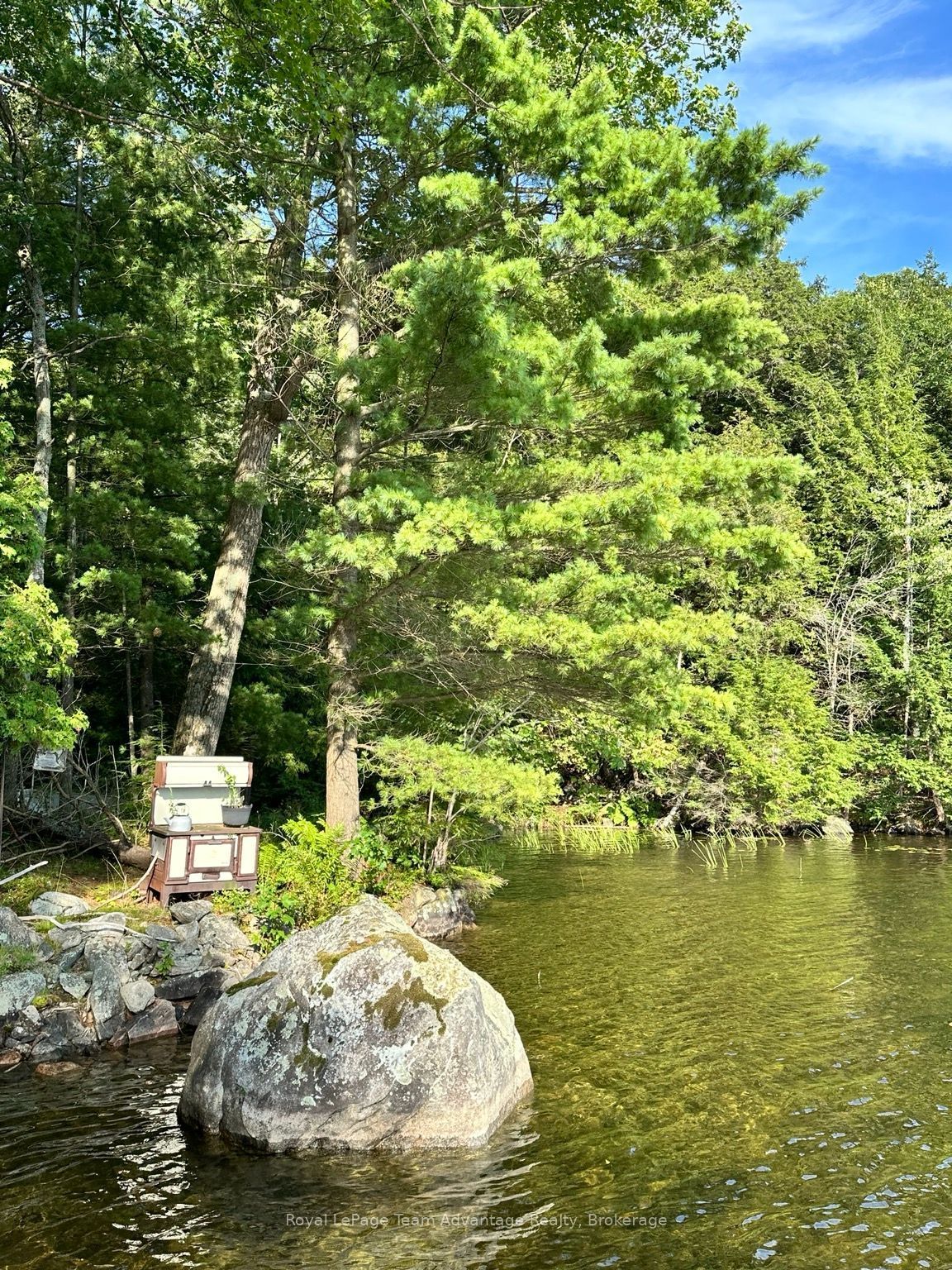 Listing 273520 Image