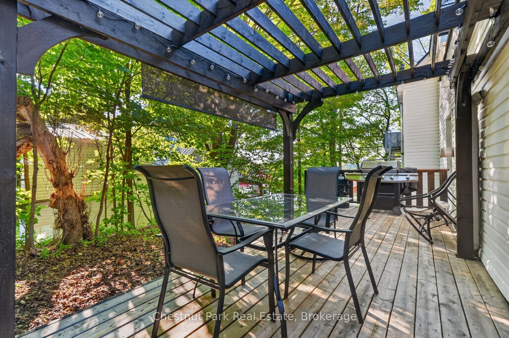 Listing 263414 Image