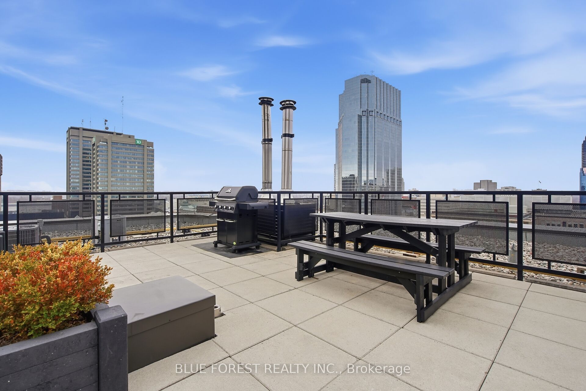 Listing 256560 Image
