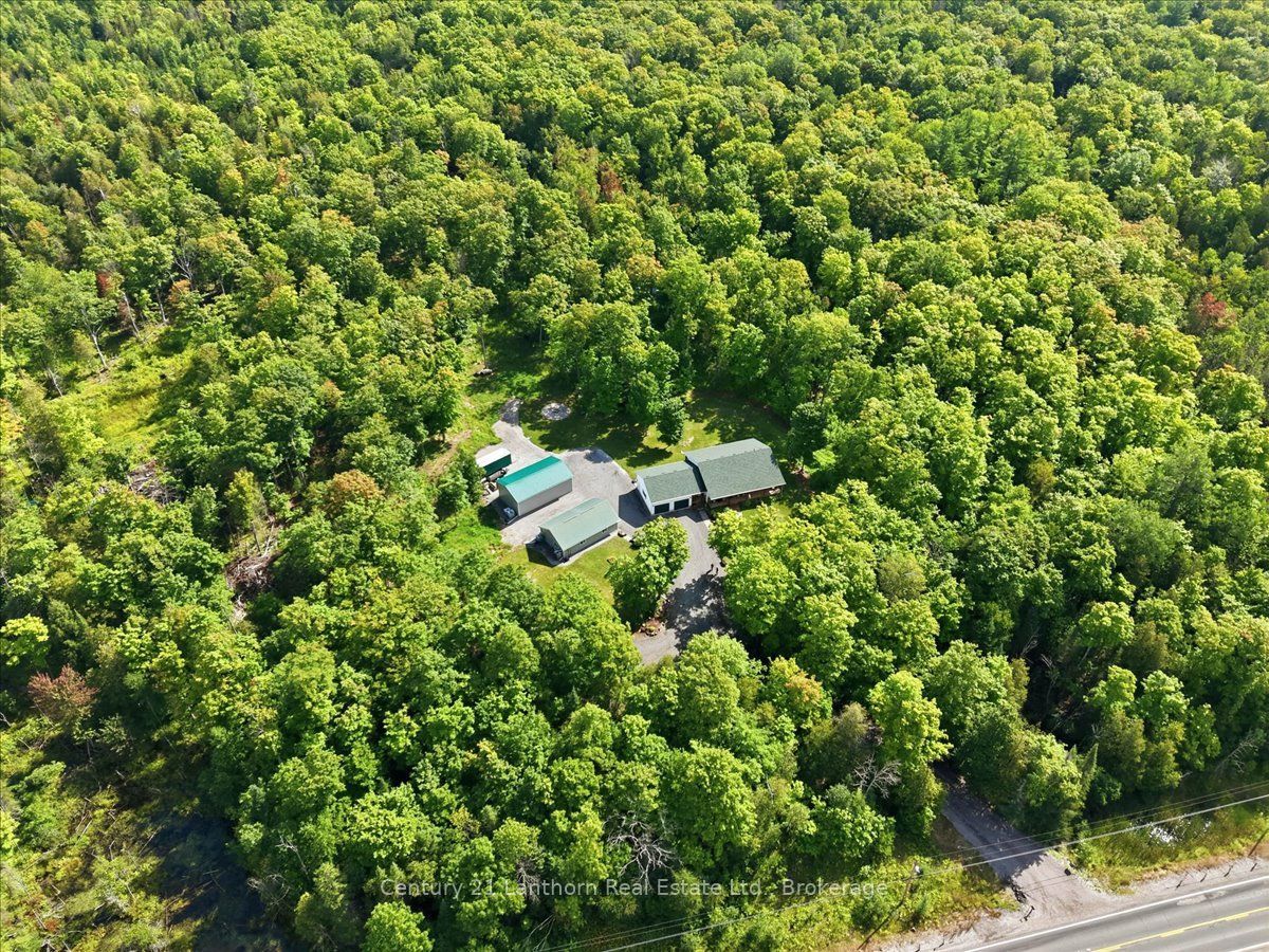 Listing 264460 Image