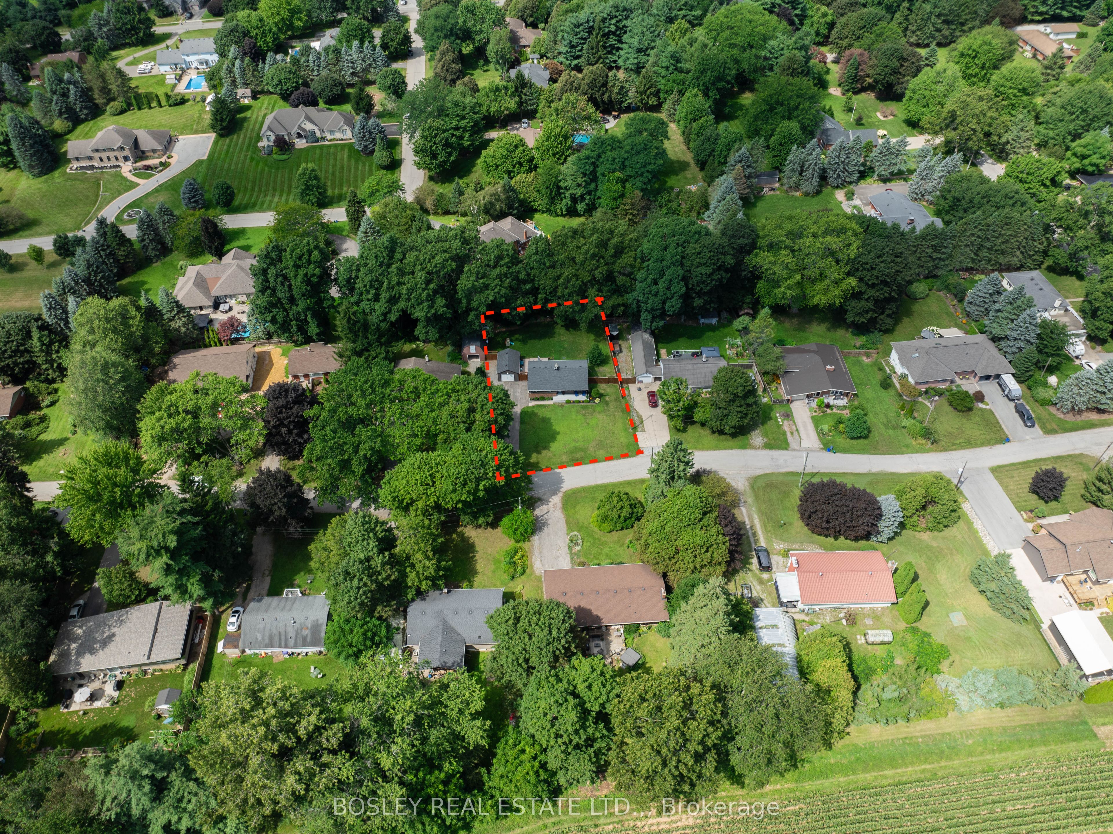 Main Property