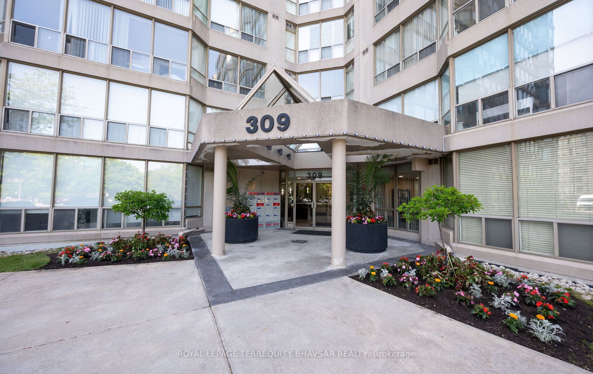 Listing 257838 Image