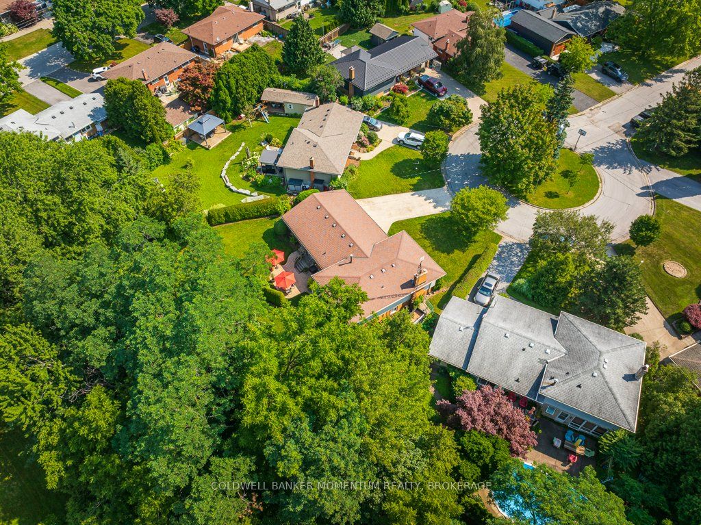 Listing 257075 Image