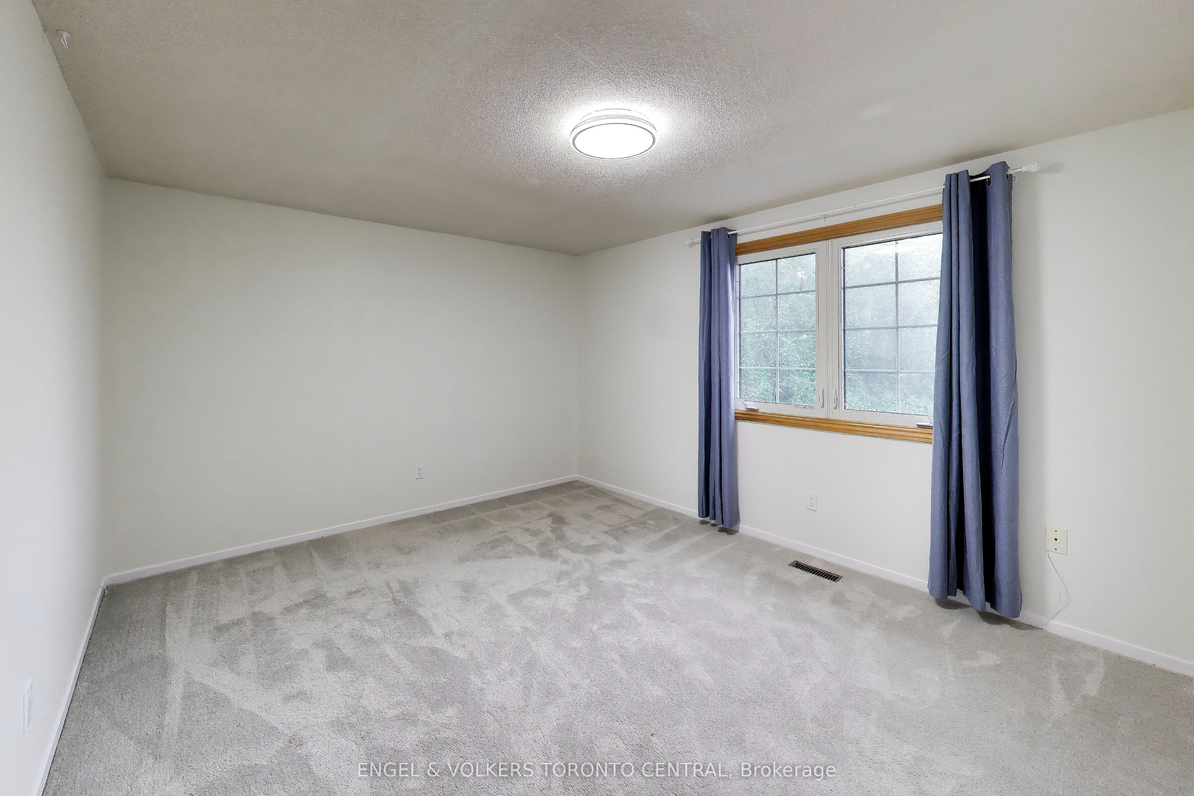 Listing 292543 Image