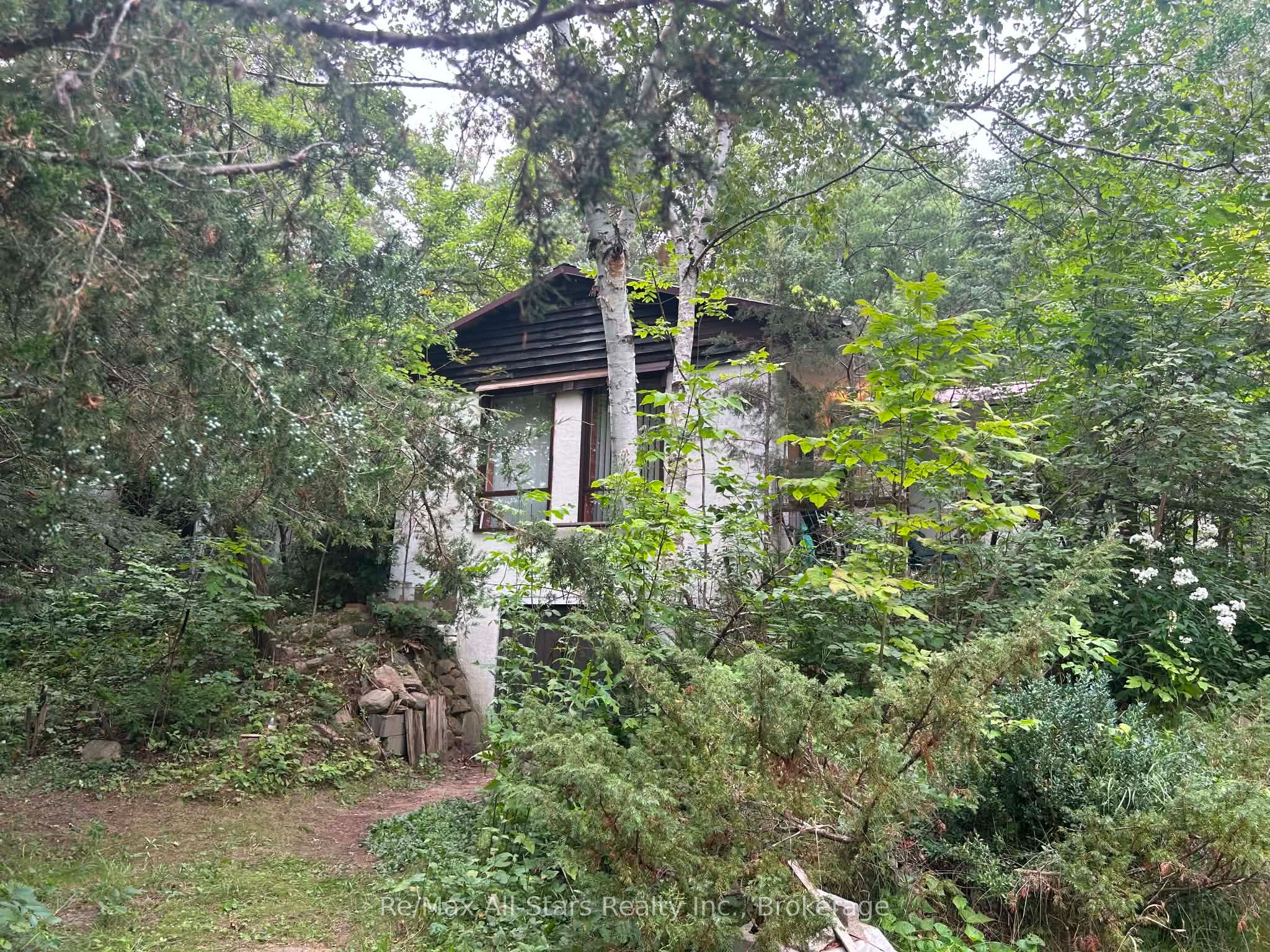 Main Property