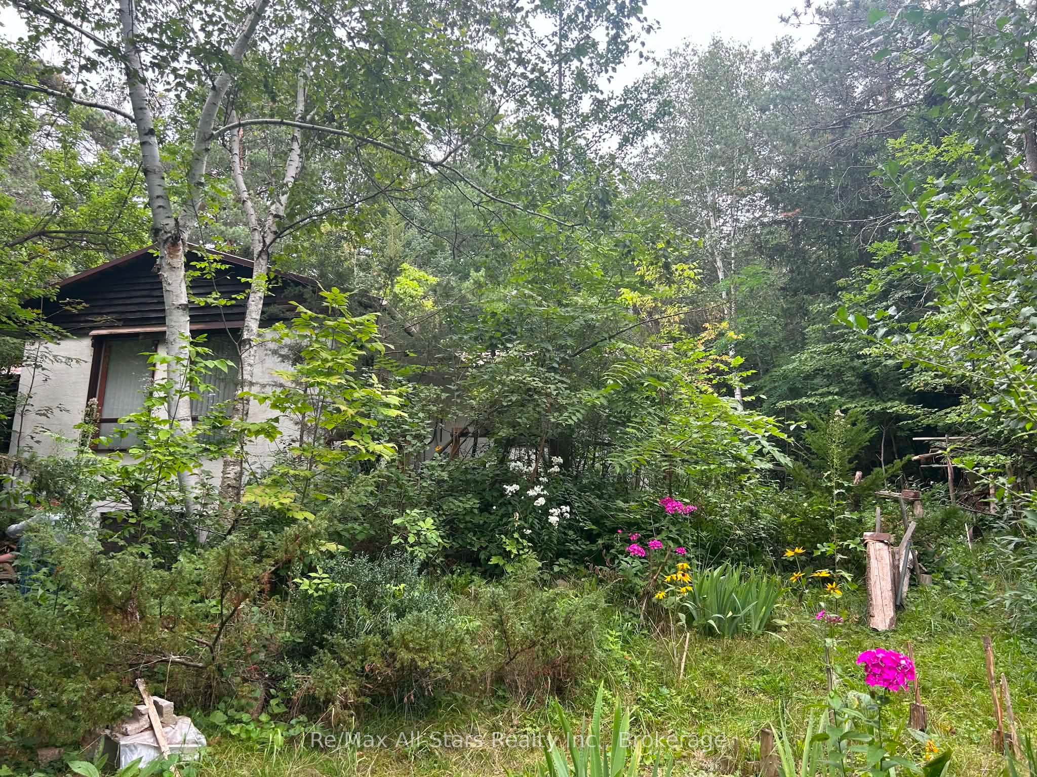 Listing 257338 Image
