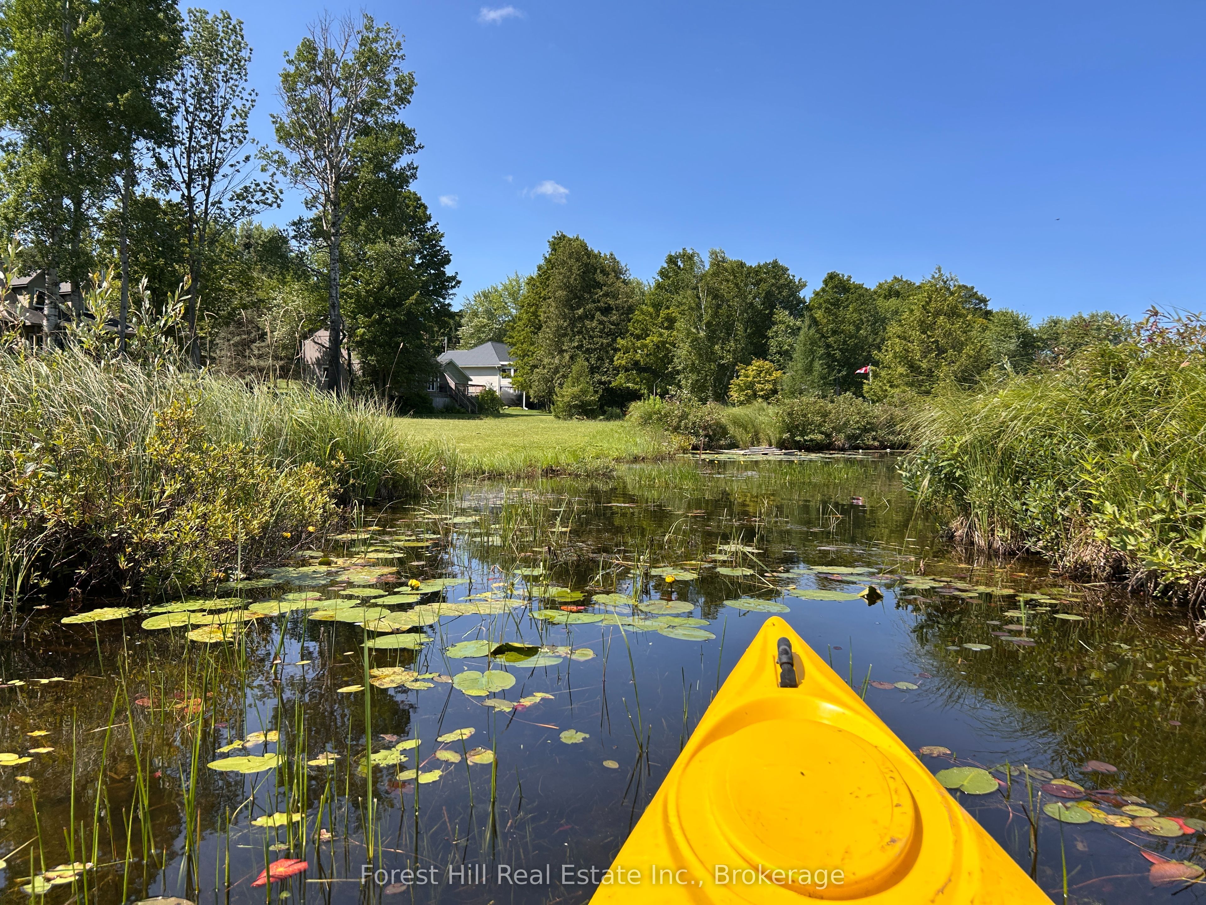 Listing 259138 Image
