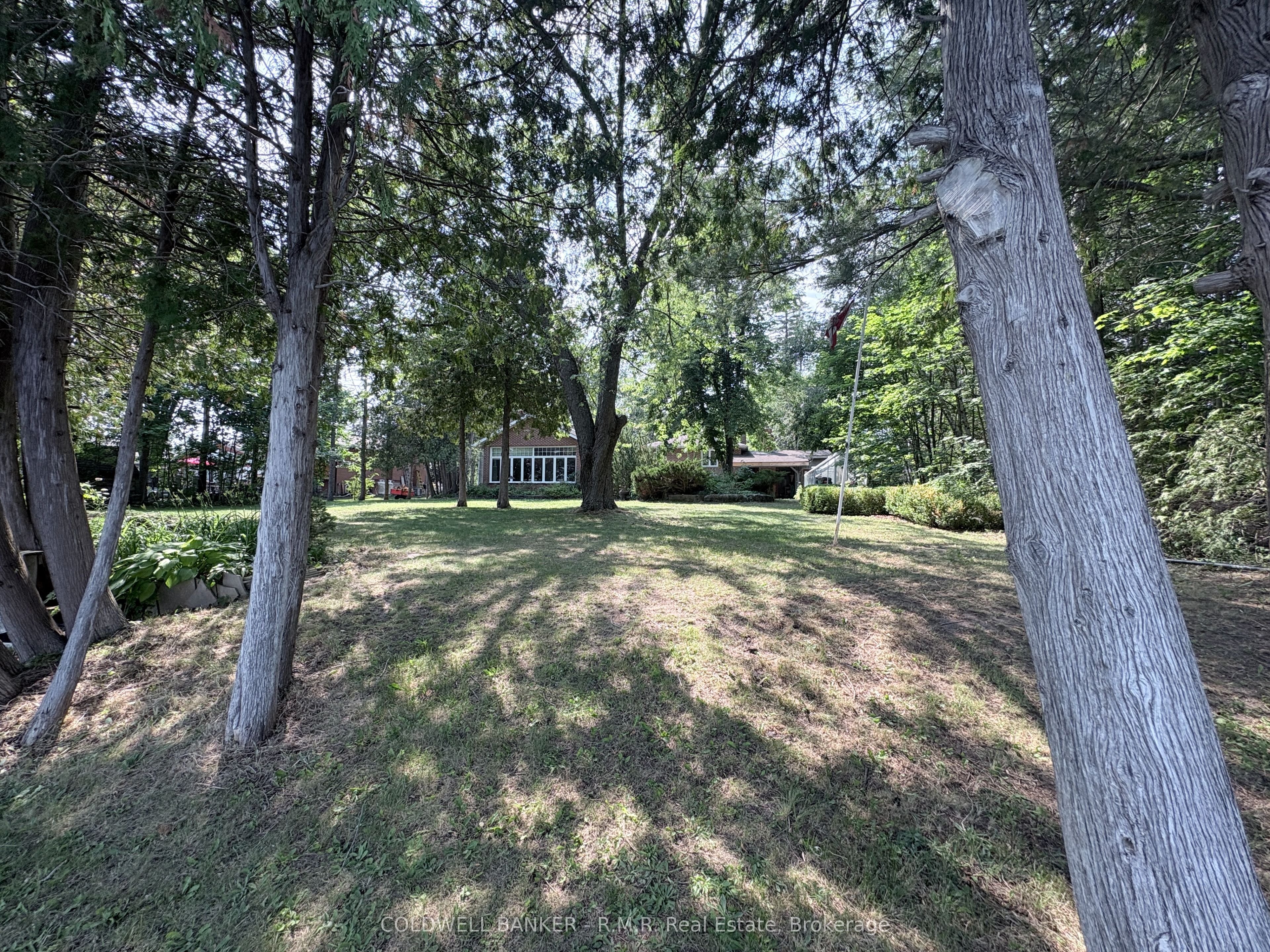 Listing 258638 Image