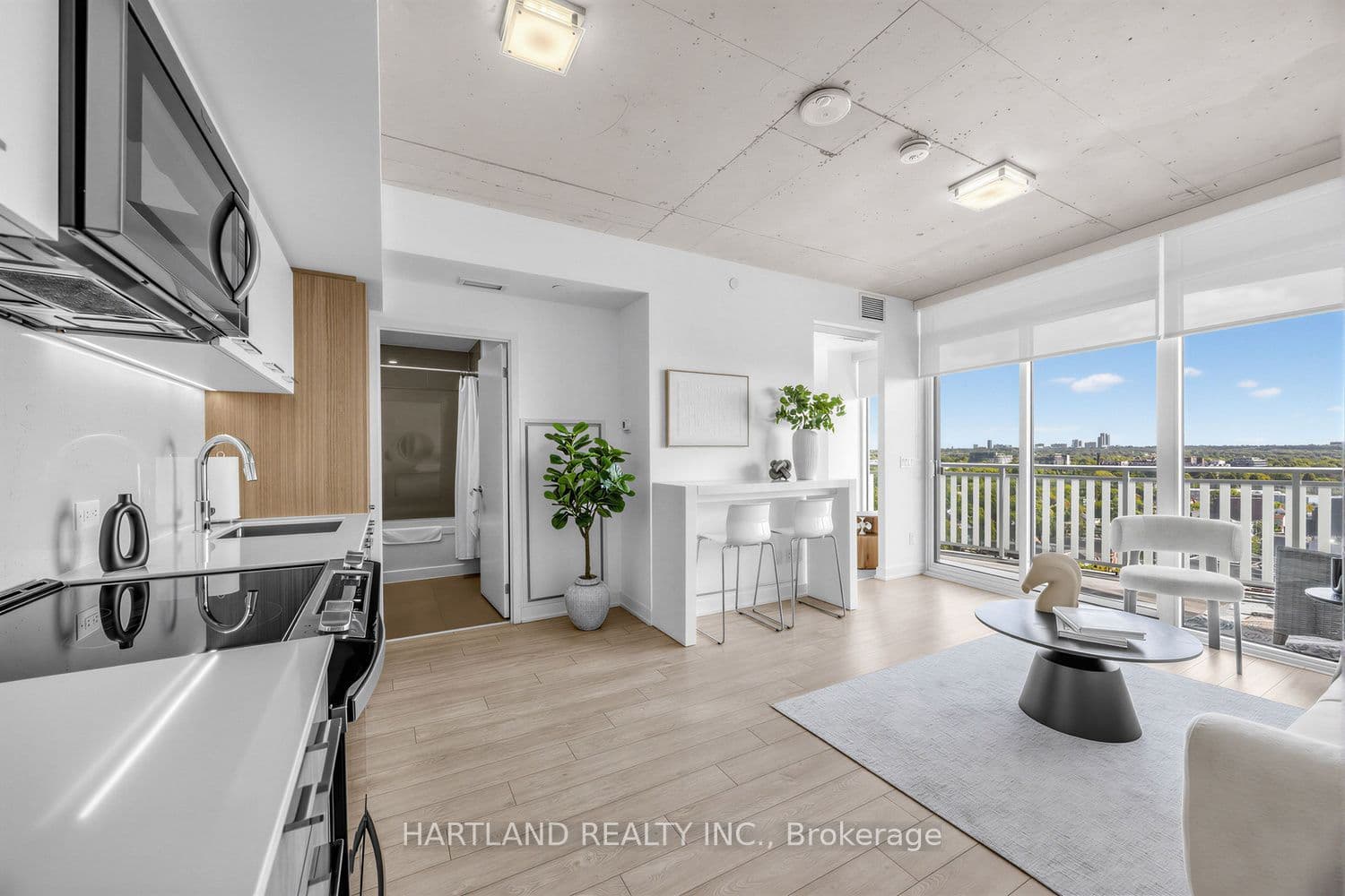 Listing 305978 Image