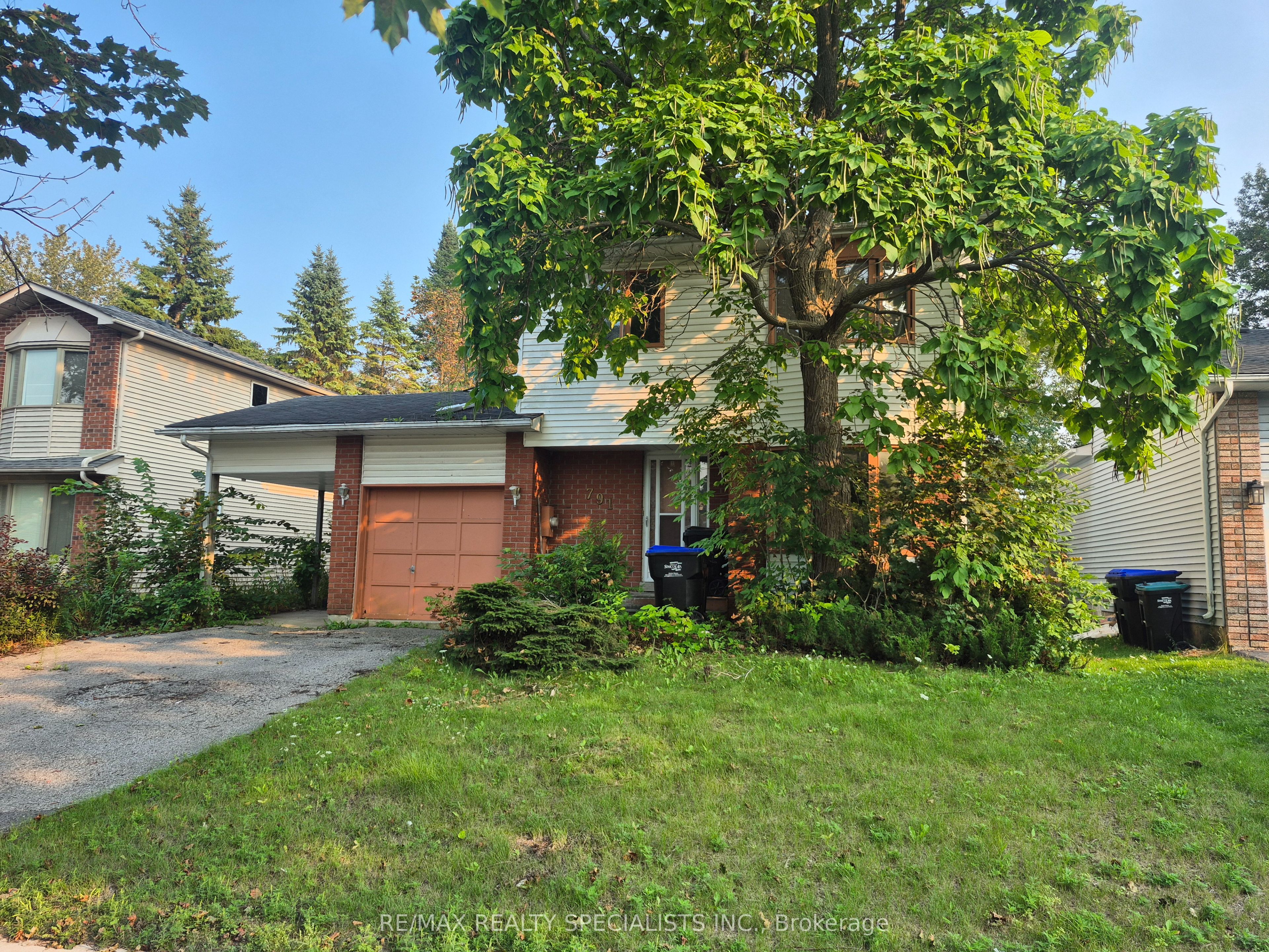 Main Property