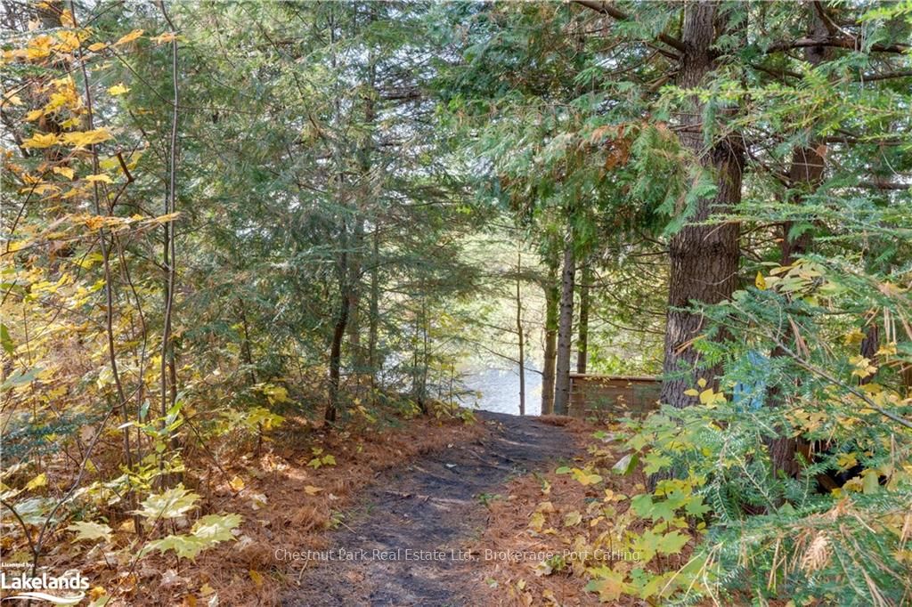 Listing 259284 Image