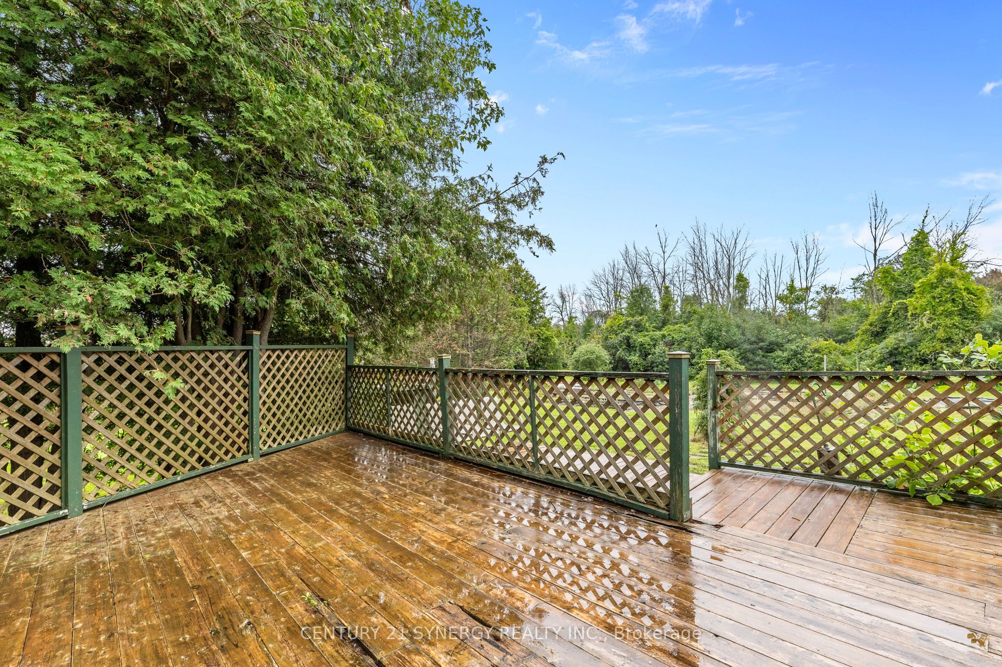 Listing 269077 Image