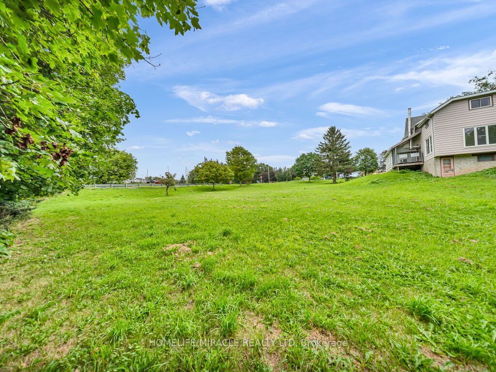 Listing 259304 Image