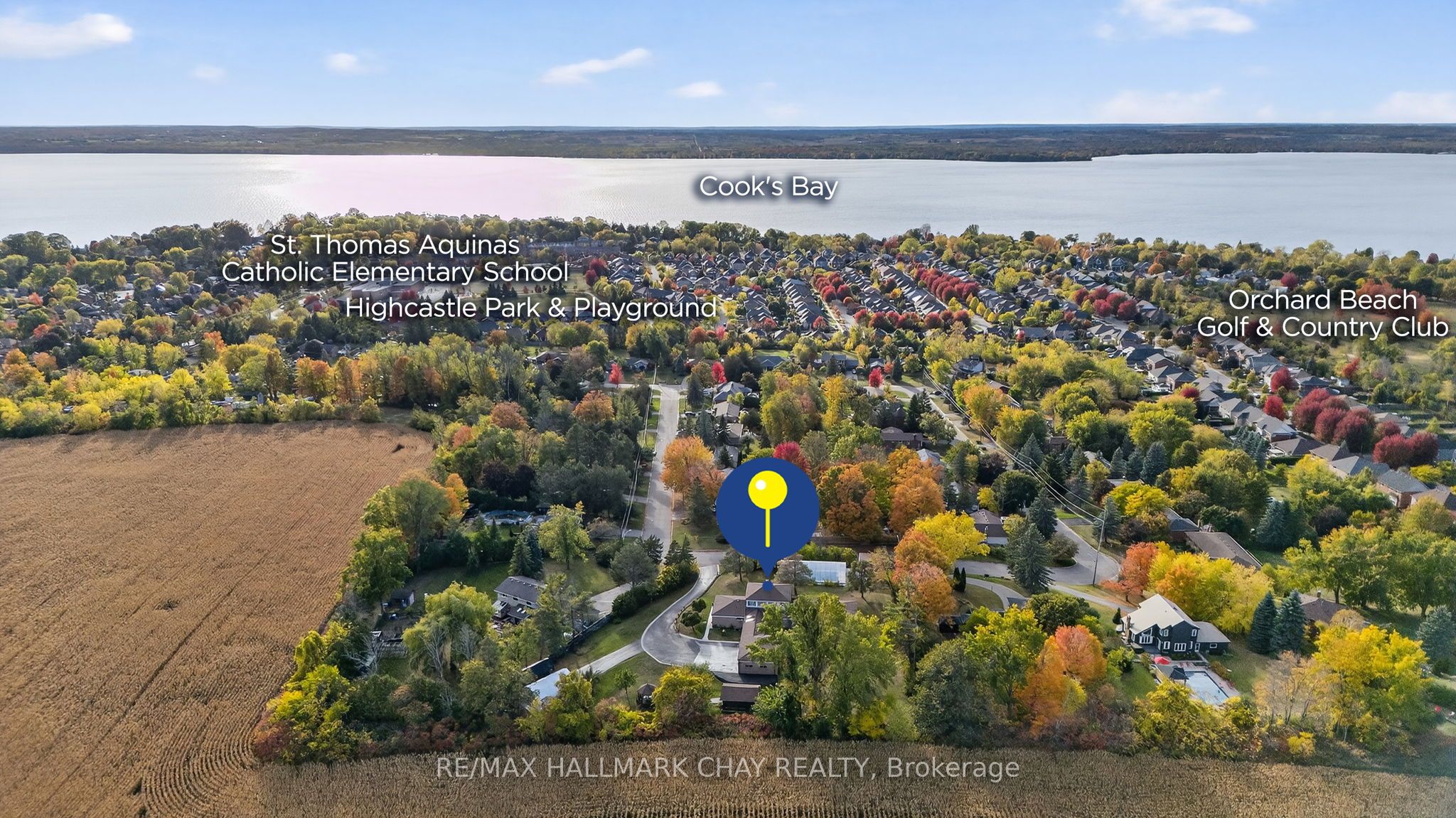 Main Property